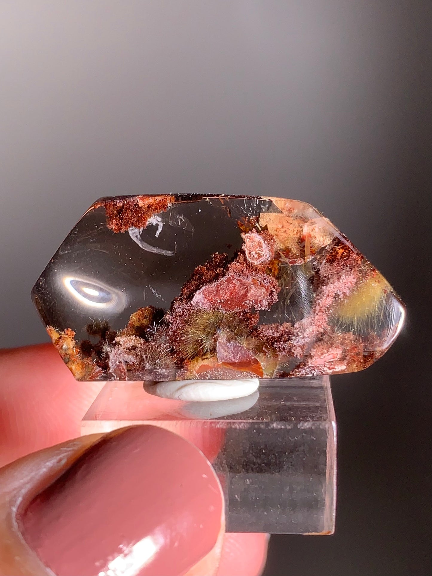 Rare Silver Starburst & Gold Fireworks Rutile Quartz with Wine Garden Mini Gem from Brazil