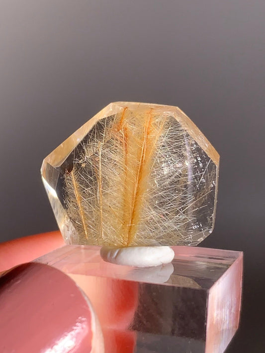 Rare Gold Pine tree Rutile Quartz Mini Gem from Brazil
