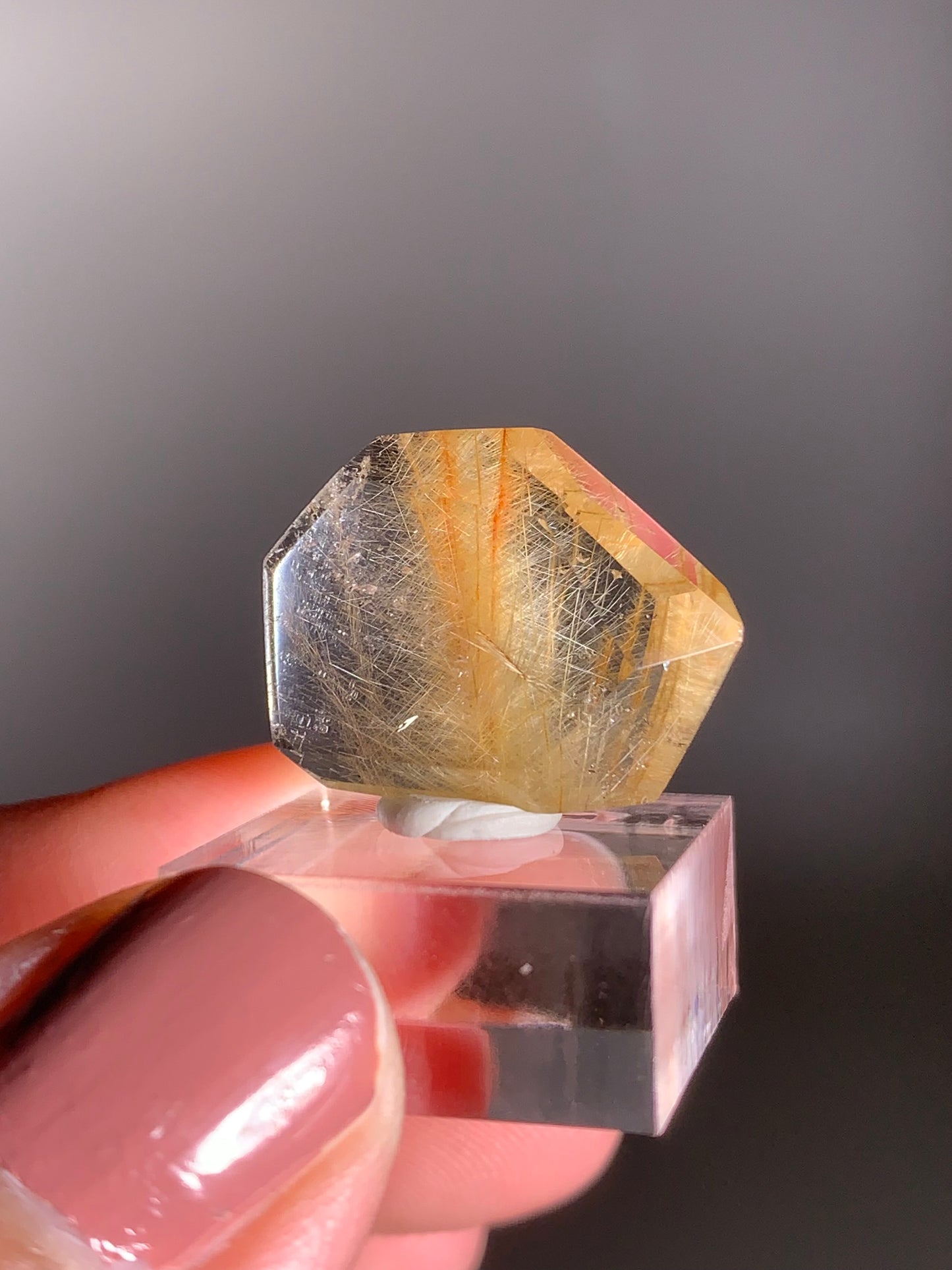 Rare Gold Pine tree Rutile Quartz Mini Gem from Brazil