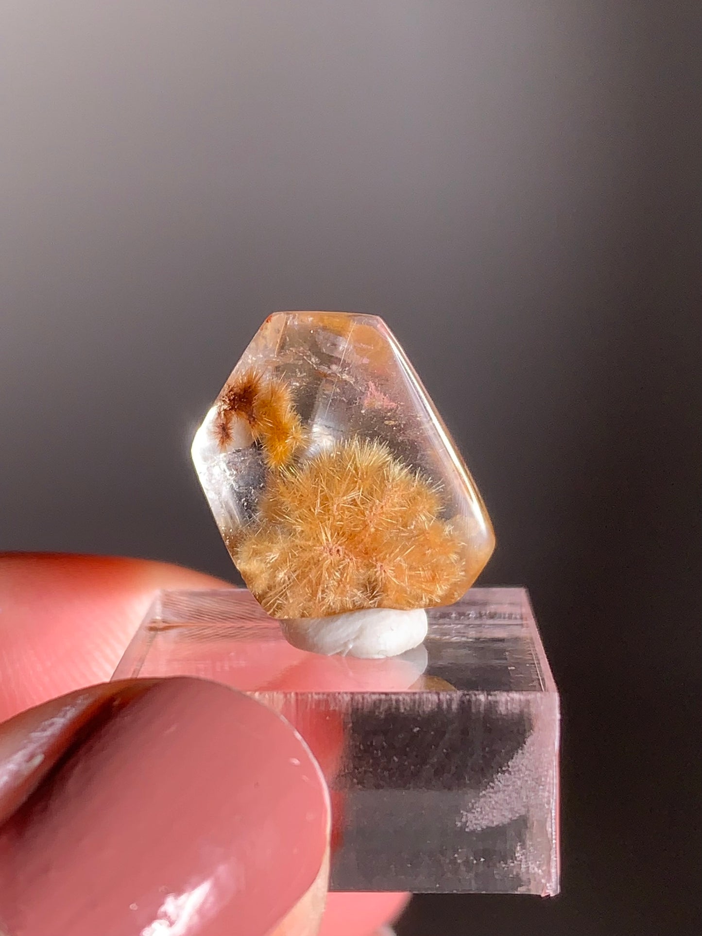 Rare Gold Starburst Rutile Quartz Mini Gem from Brazil