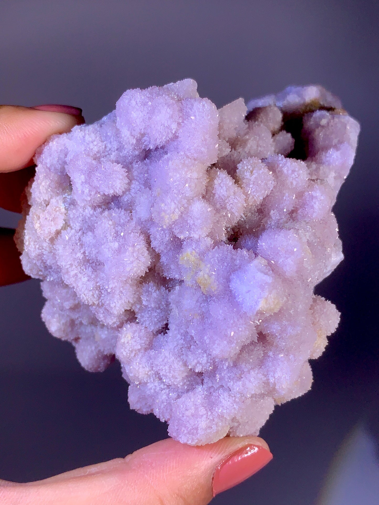 Large Lavender Flower-Shaped Selenite Cluster | Natural Gypsum Crystal