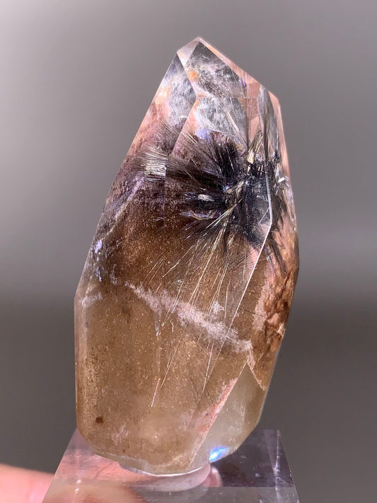 Rare Dark Silver Brookite Rutile in Brown Garden Quartz Crystal from Brazil