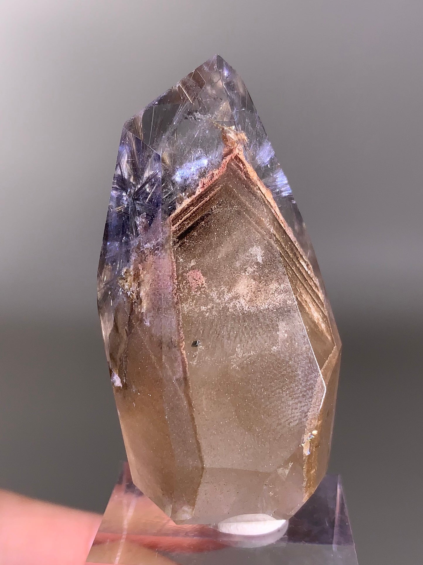 Rare Dark Silver Brookite Rutile in Brown Garden Quartz Crystal from Brazil