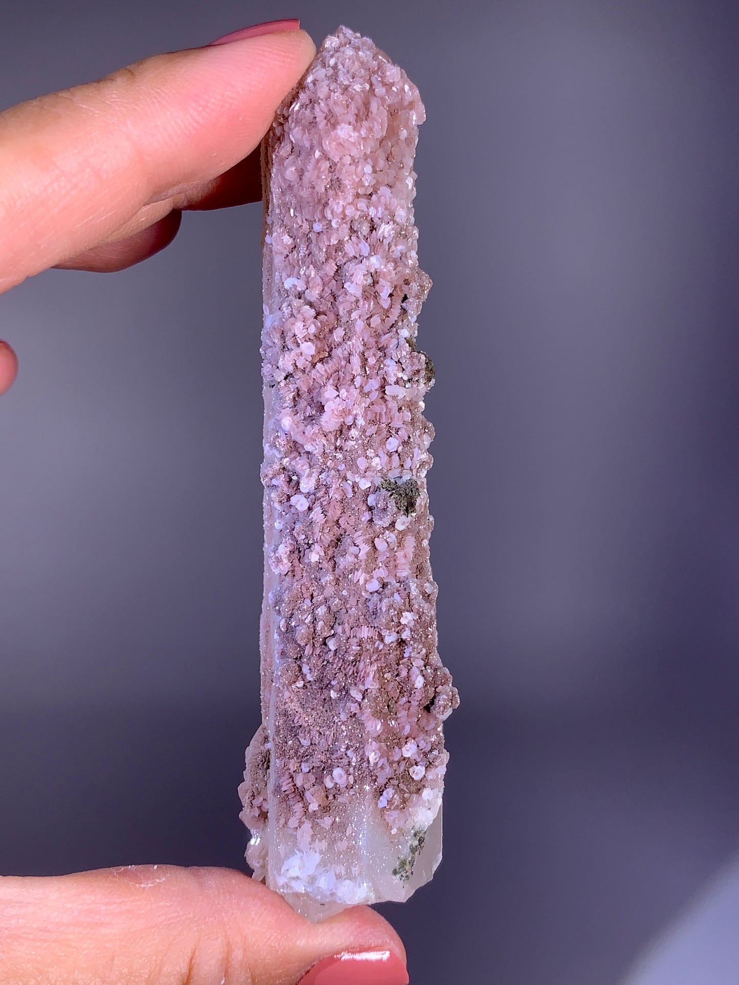 Rare Natural Pink Druzy Quartz with Petal Calcite | Inner Mongolia Mineral Specimen