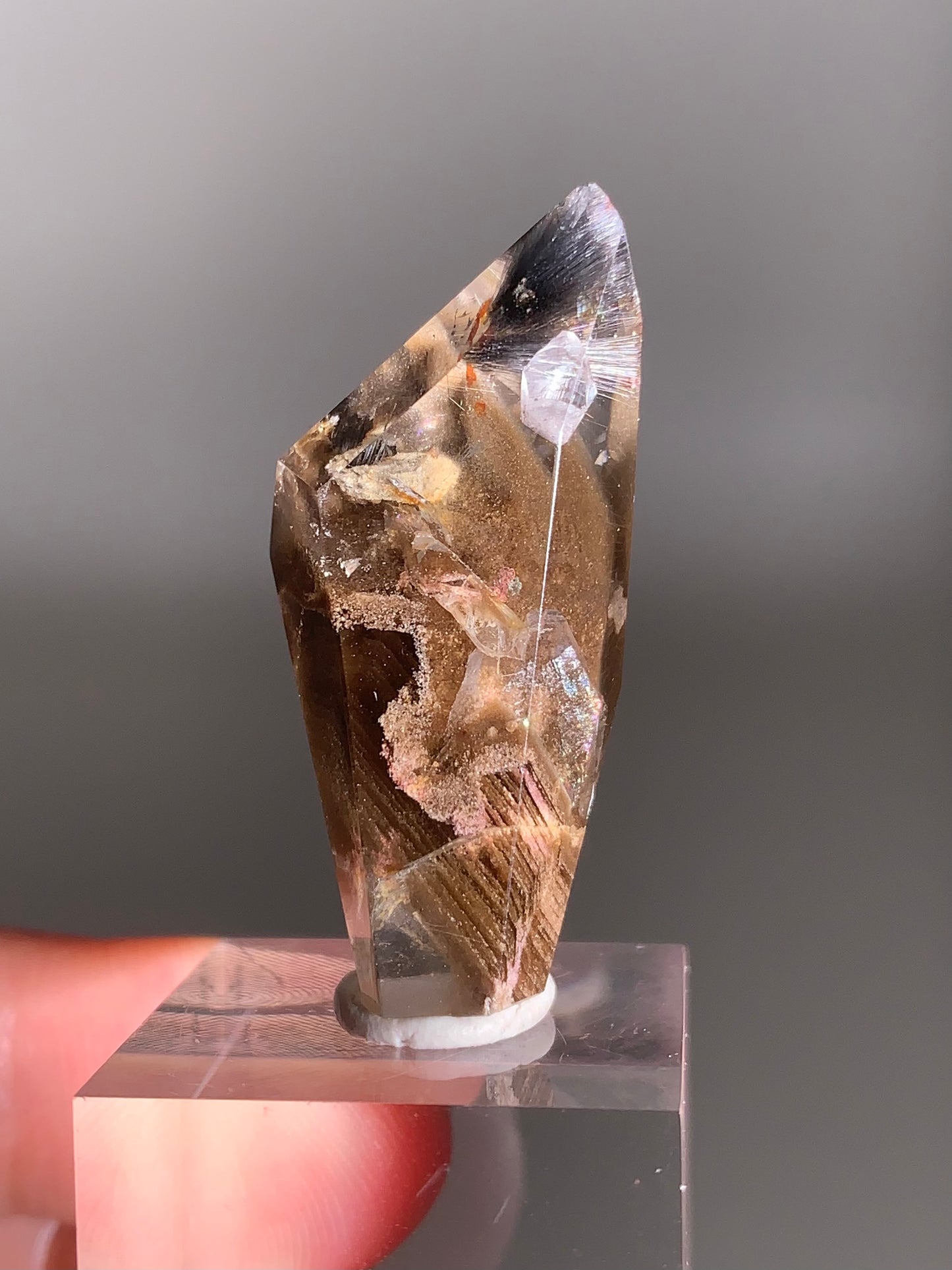 Rare Dark Silver Brookite Rutile in Brown Garden Quartz Crystal from Brazil