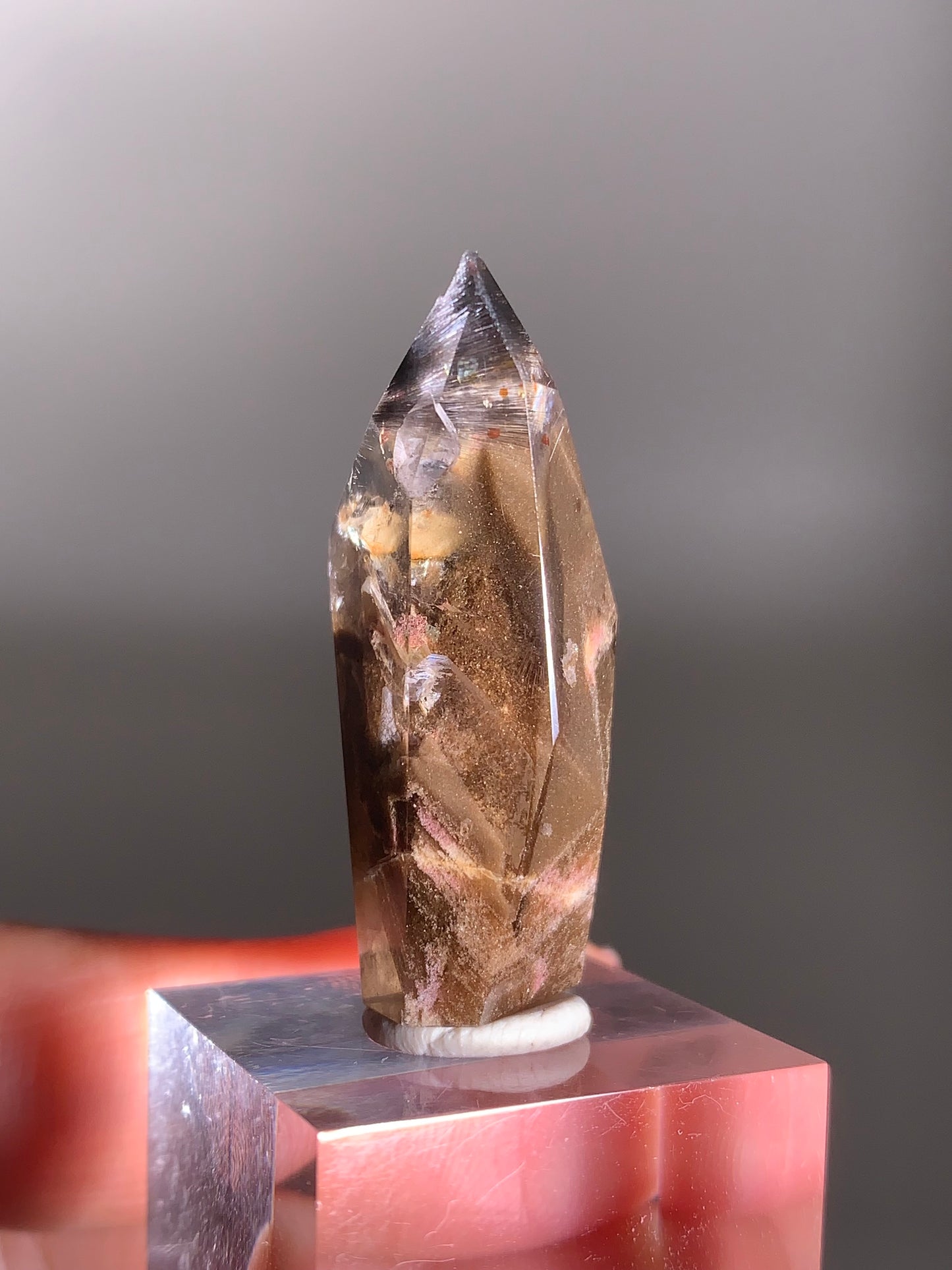 Rare Dark Silver Brookite Rutile in Brown Garden Quartz Crystal from Brazil
