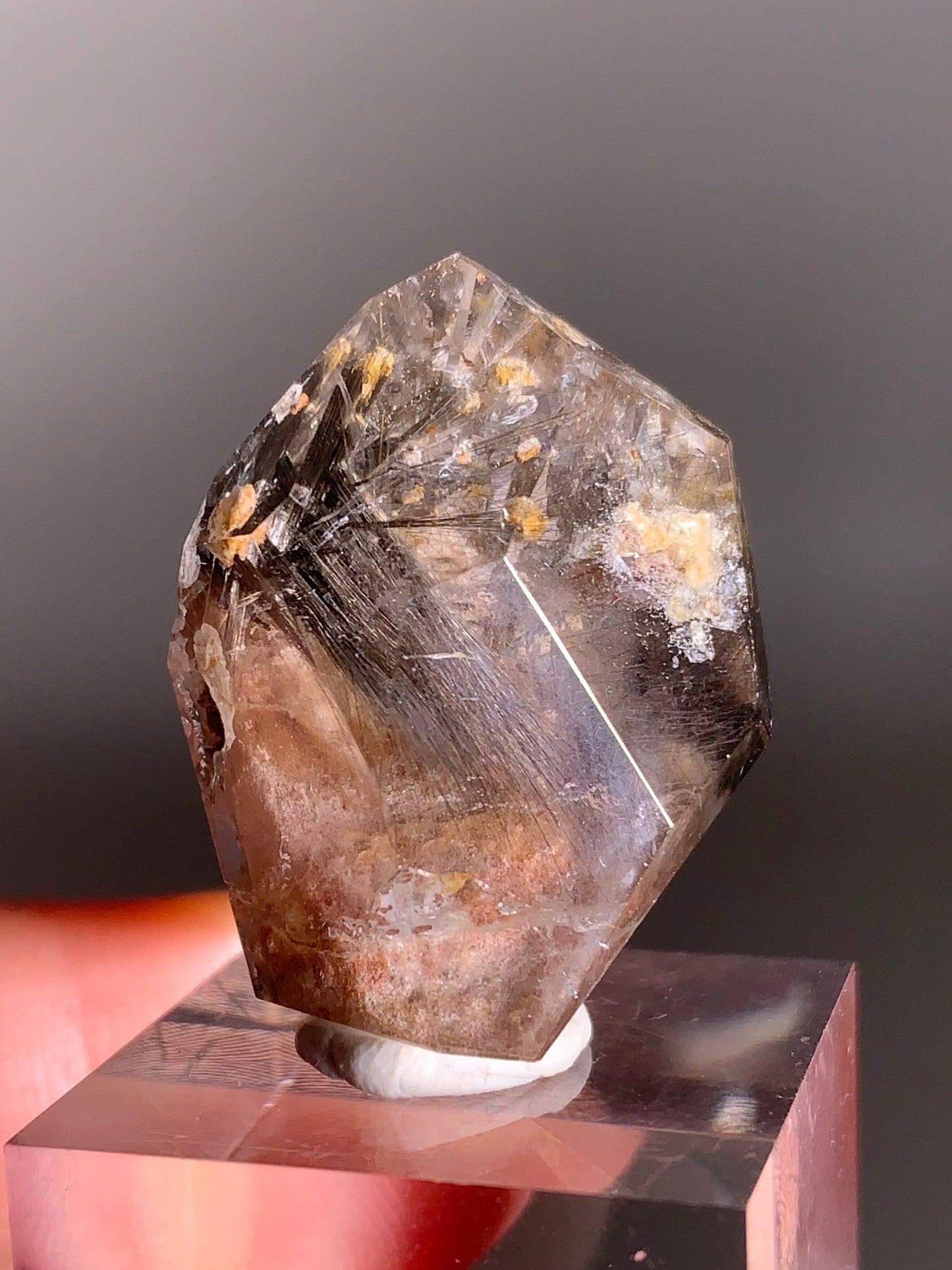 Rare Dark Silver Brookite Rutile in Brown Garden Quartz Crystal from Brazil