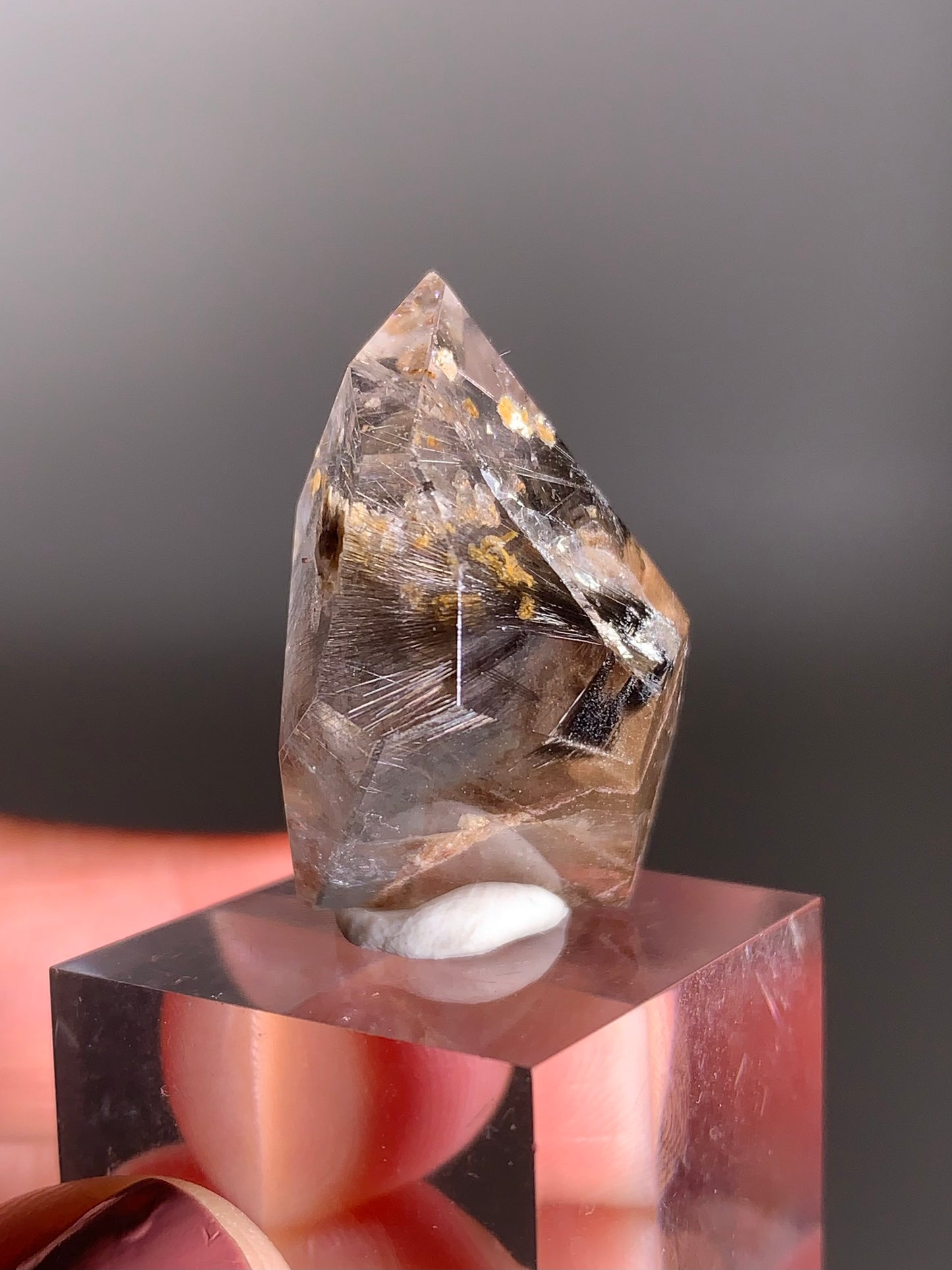 Rare Dark Silver Brookite Rutile in Brown Garden Quartz Crystal from Brazil