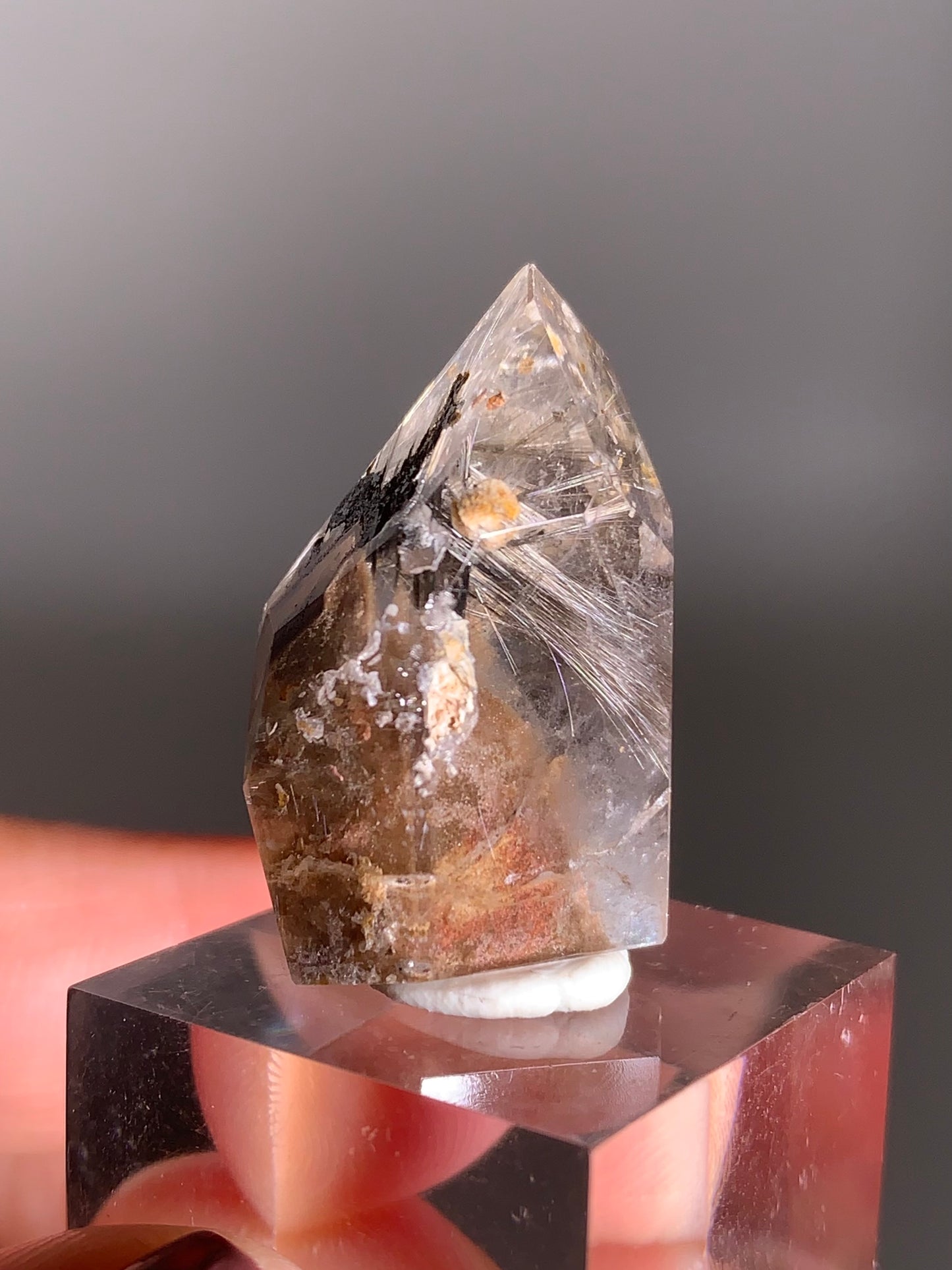 Rare Dark Silver Brookite Rutile in Brown Garden Quartz Crystal from Brazil