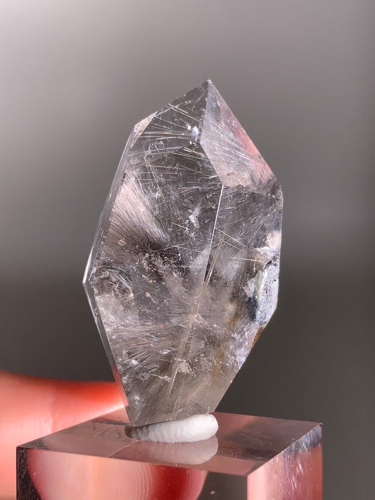 Rare Dark Silver Brookite Rutile in Brown Garden Quartz Crystal from Brazil