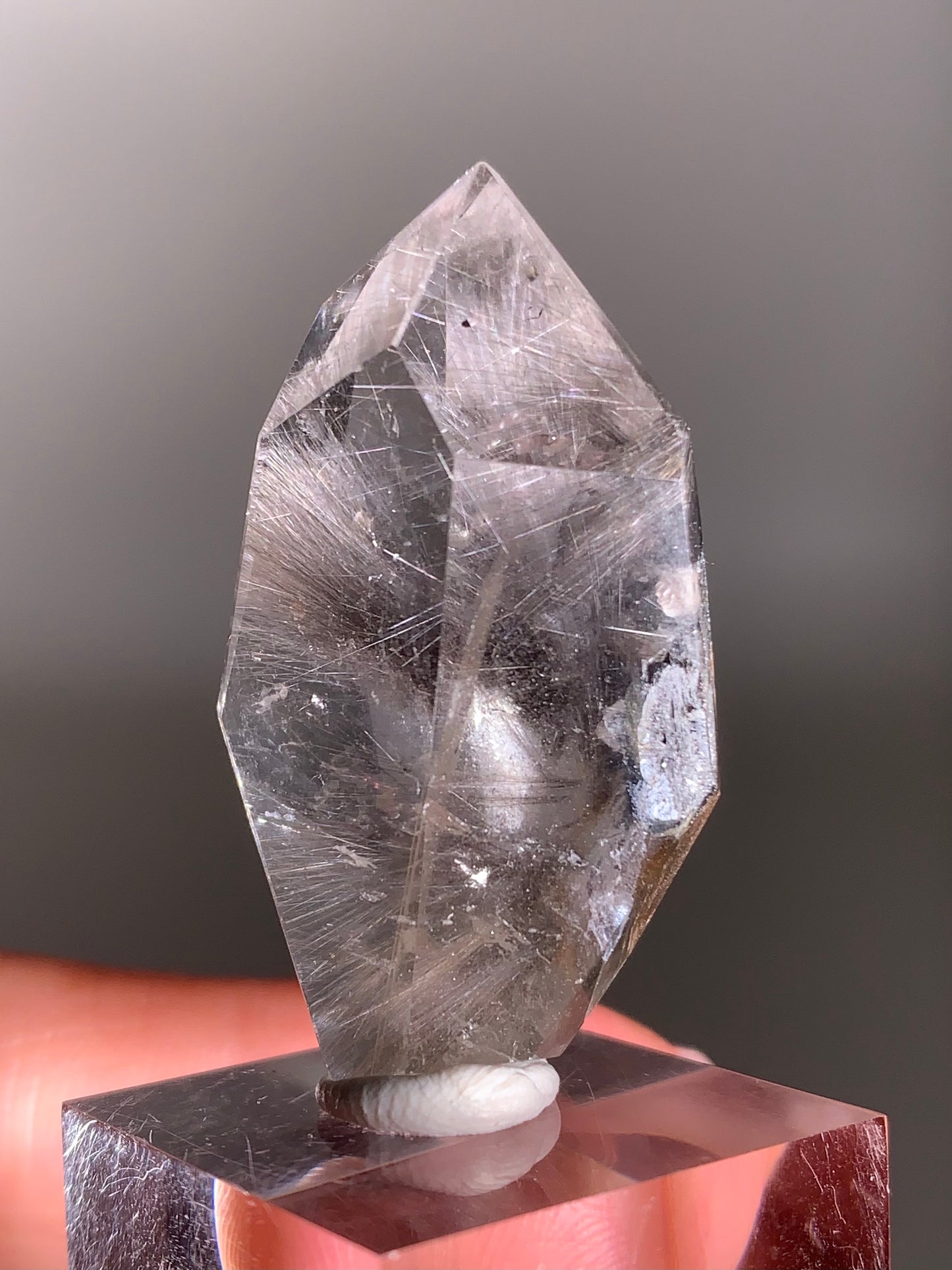 Rare Dark Silver Brookite Rutile in Brown Garden Quartz Crystal from Brazil