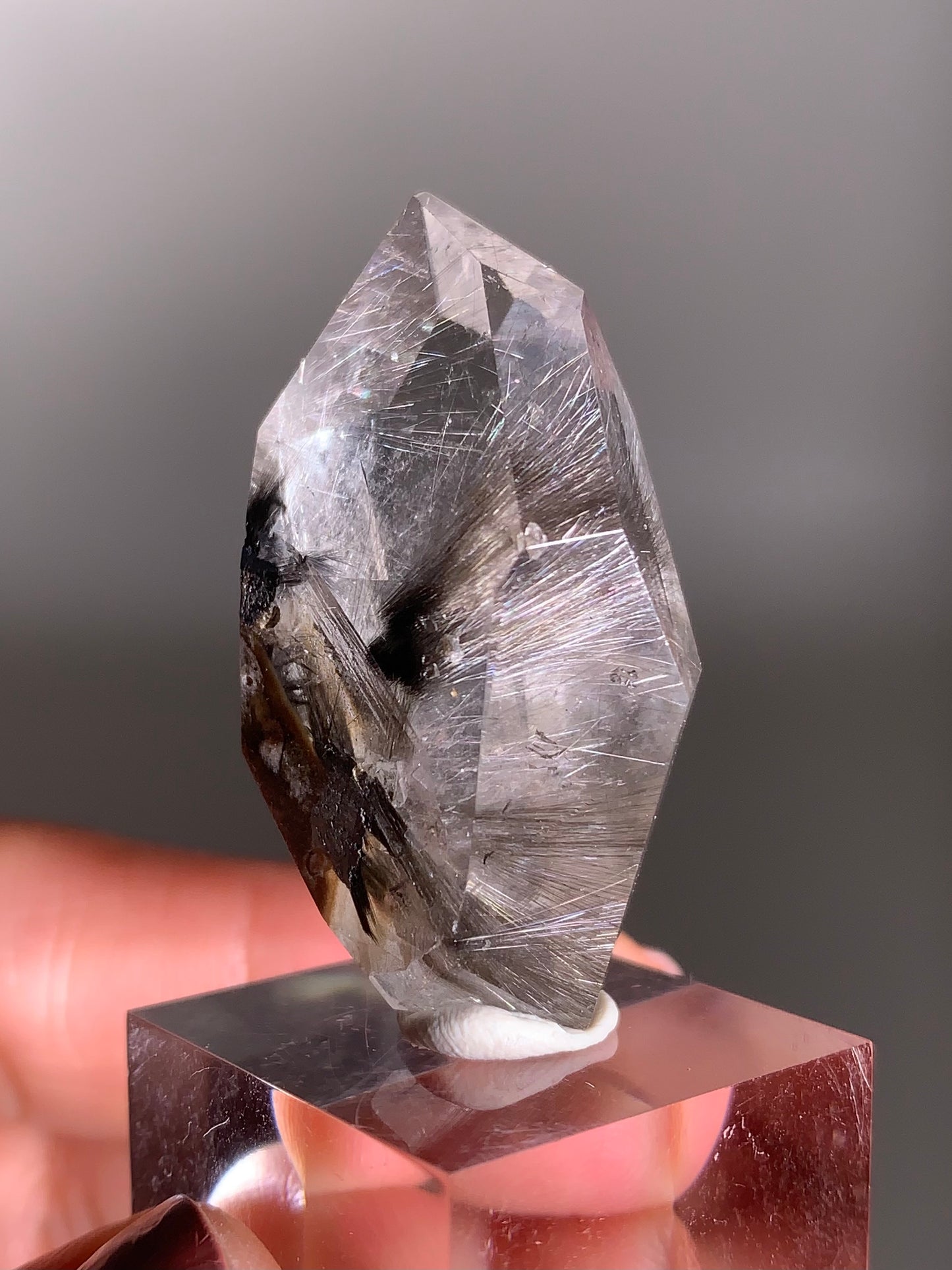 Rare Dark Silver Brookite Rutile in Brown Garden Quartz Crystal from Brazil