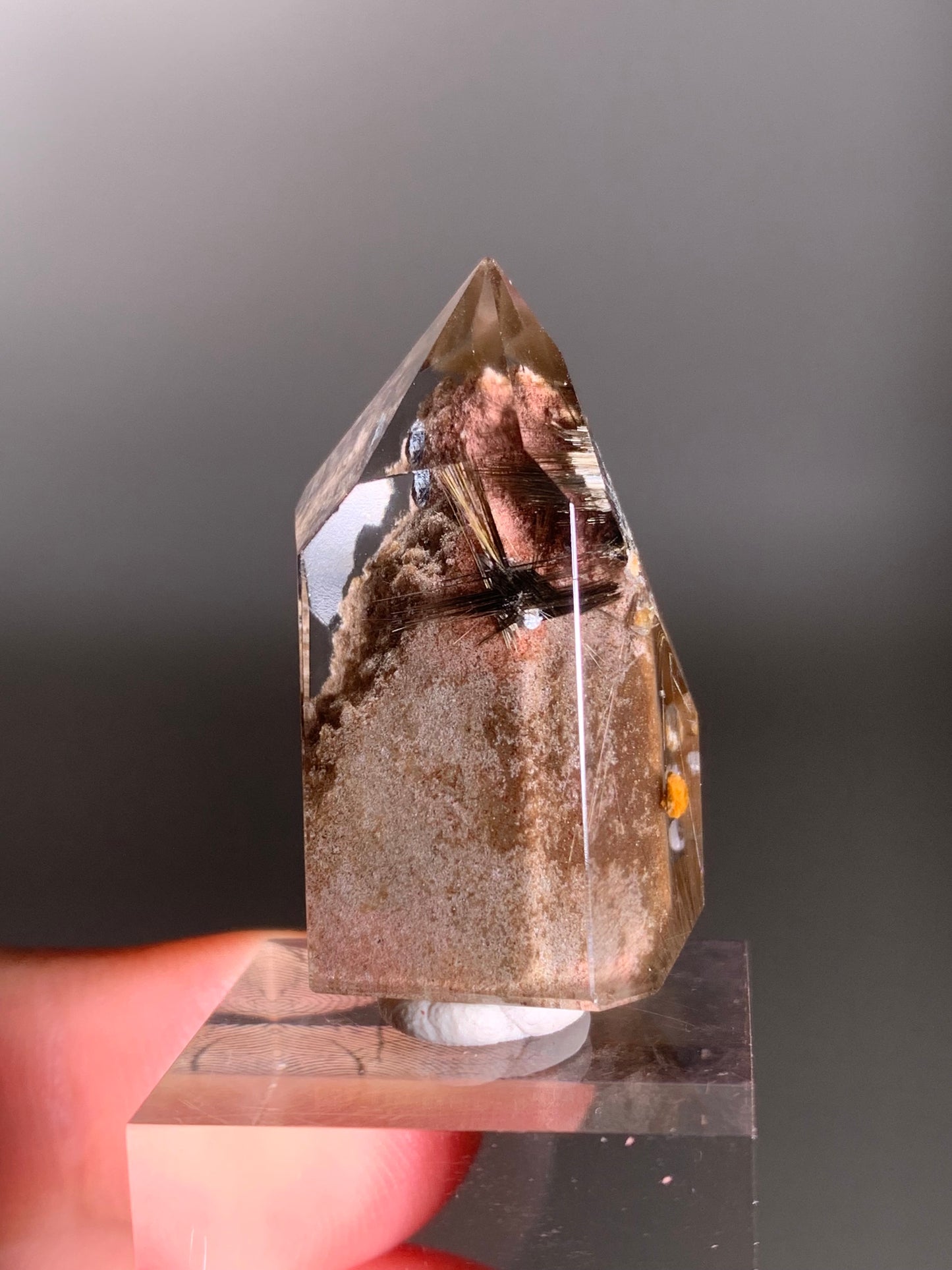 Rare Dark Silver Brookite Rutile in Brown Garden Quartz Crystal from Brazil