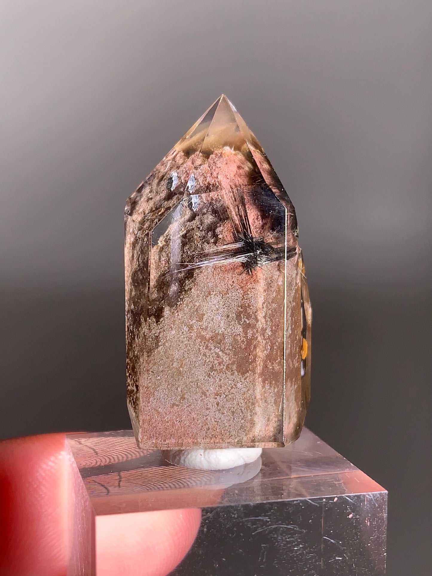 Rare Dark Silver Brookite Rutile in Brown Garden Quartz Crystal from Brazil