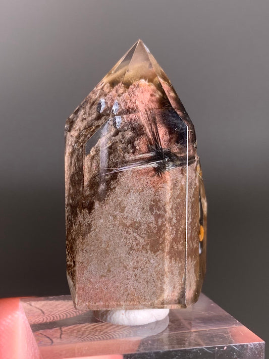 Rare Dark Silver Brookite Rutile in Brown Garden Quartz Crystal from Brazil