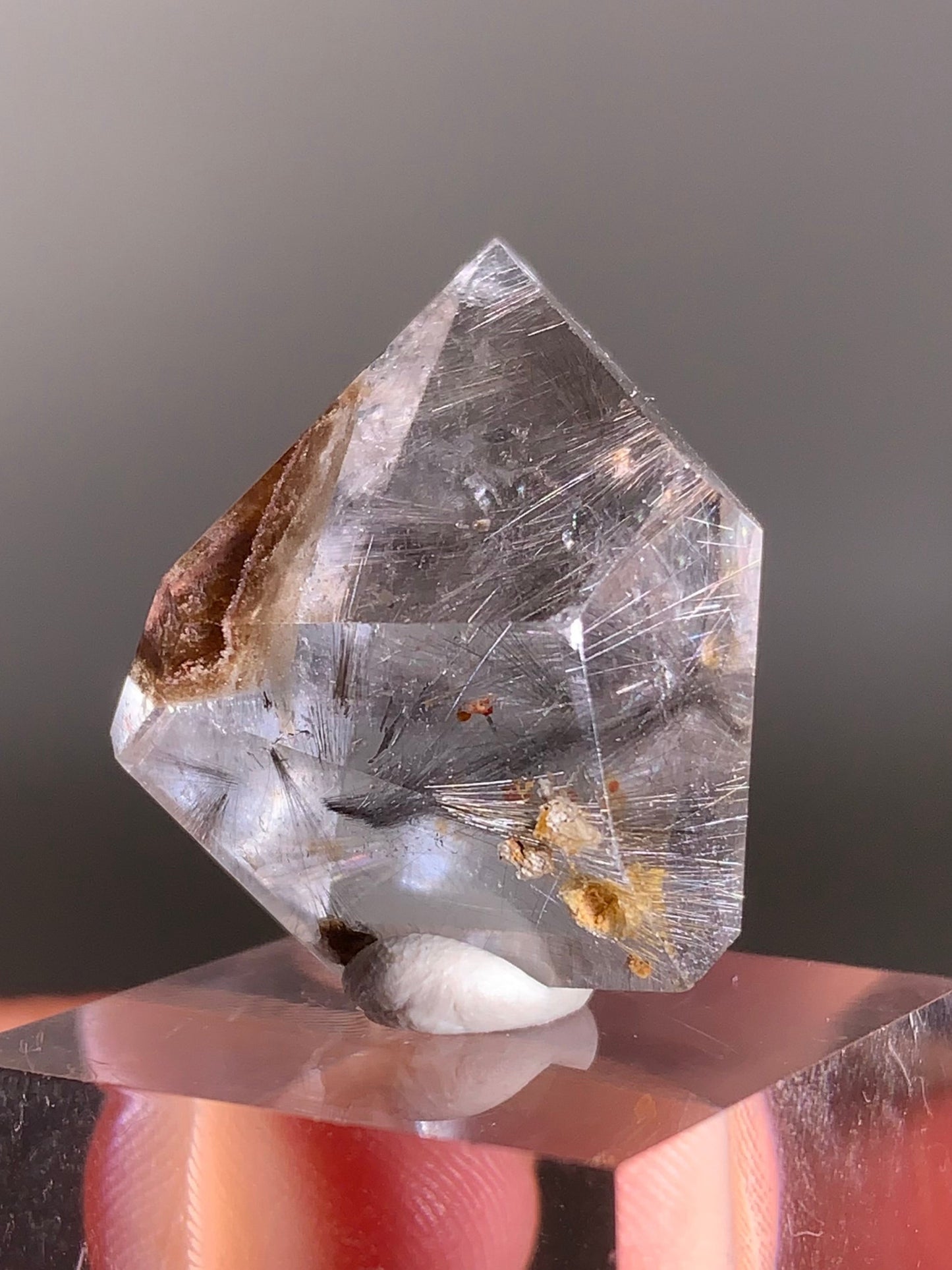 Rare Dark Silver Brookite Rutile in Brown Garden Quartz Crystal from Brazil