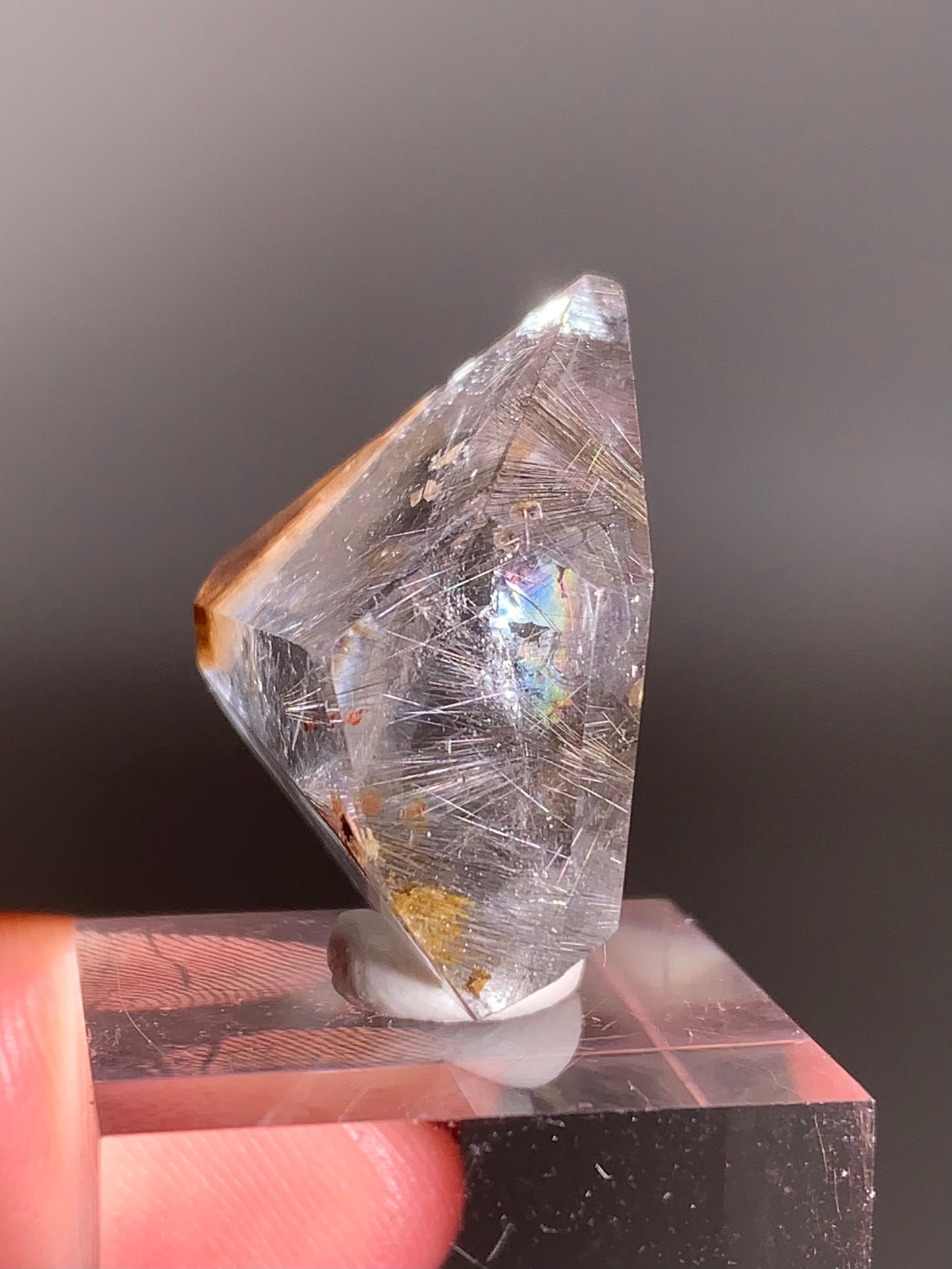 Rare Dark Silver Brookite Rutile in Brown Garden Quartz Crystal from Brazil