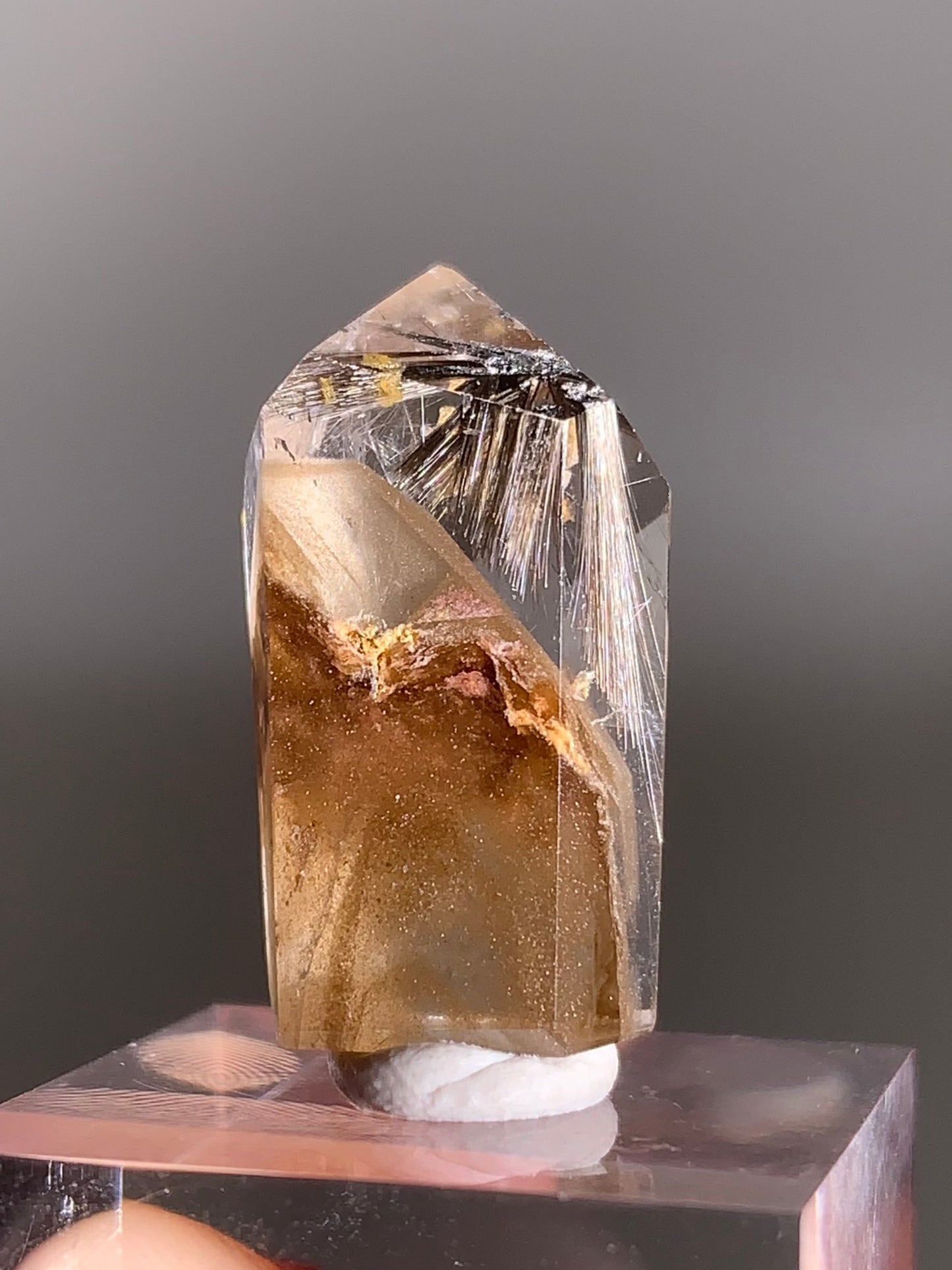 Rare Dark Silver Brookite Rutile in Brown Garden Quartz Crystal from Brazil