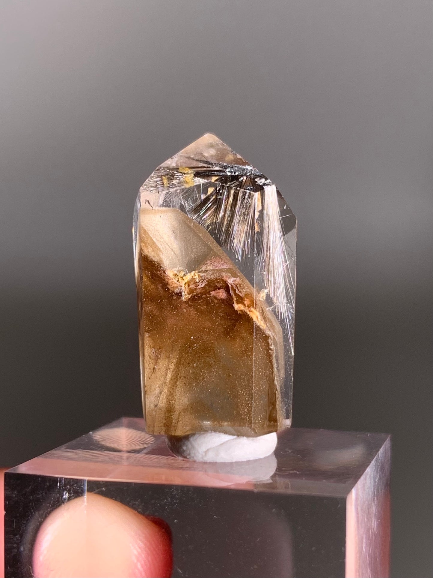 Rare Dark Silver Brookite Rutile in Brown Garden Quartz Crystal from Brazil