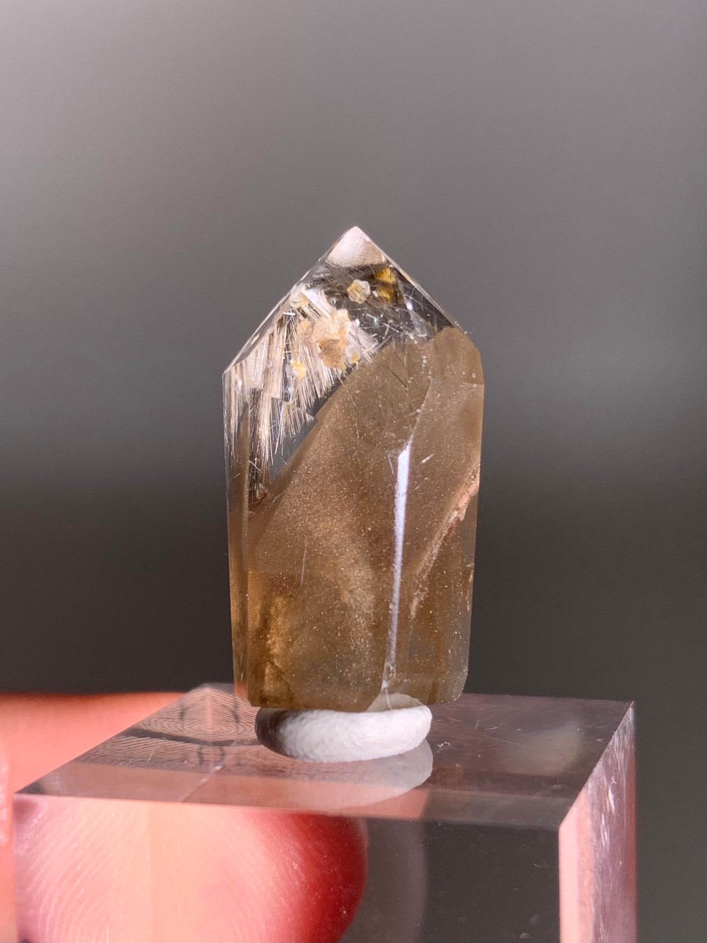 Rare Dark Silver Brookite Rutile in Brown Garden Quartz Crystal from Brazil