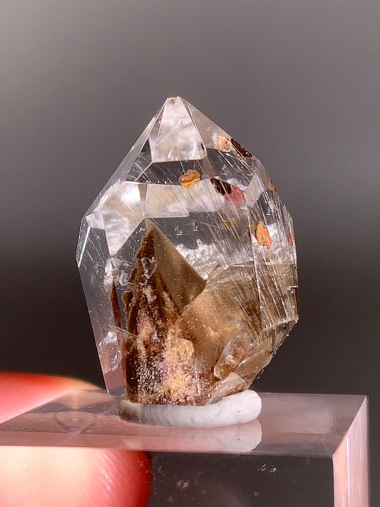 Rare Dark Silver Brookite Rutile in Brown Garden Quartz Crystal from Brazil