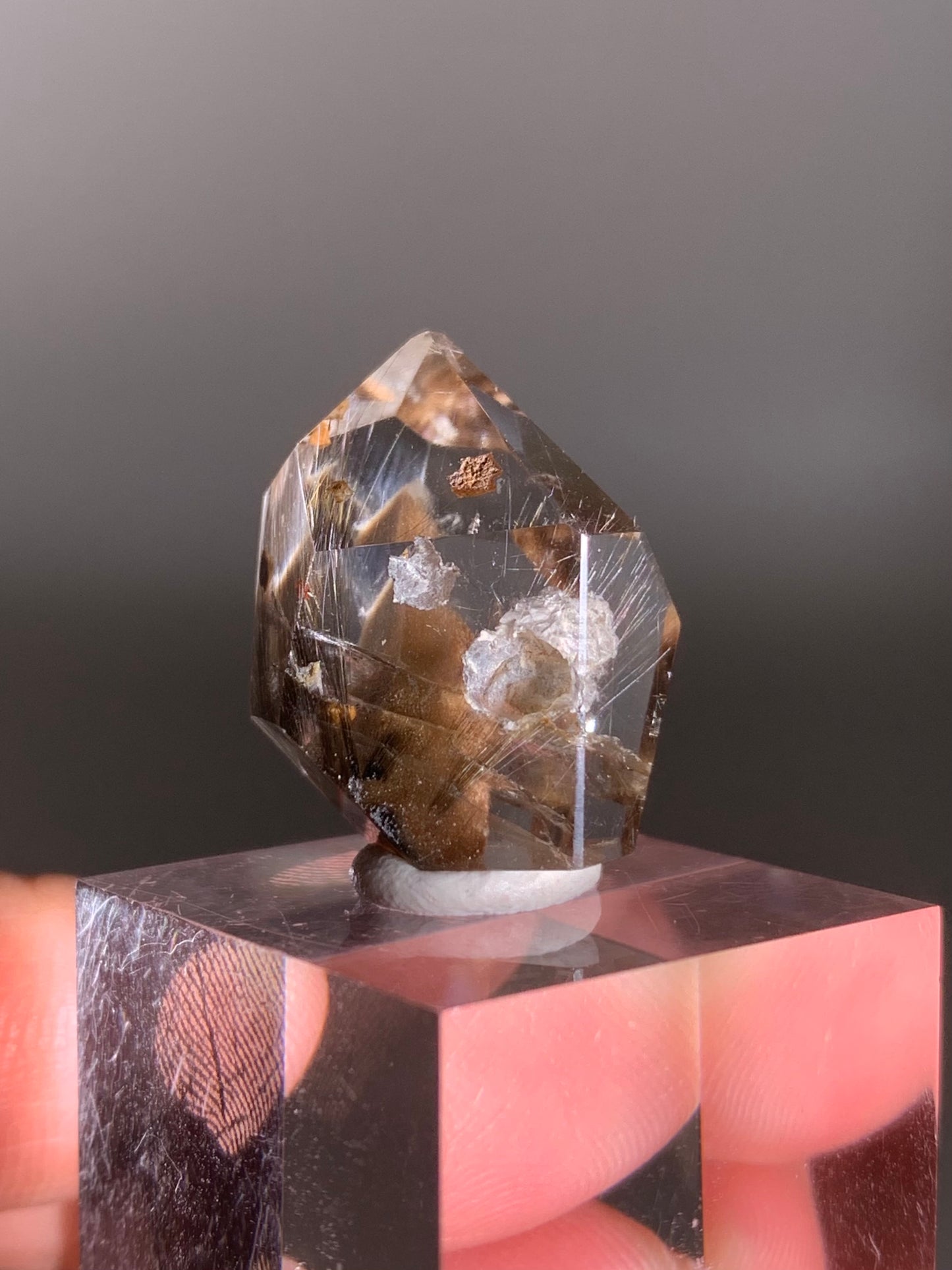 Rare Dark Silver Brookite Rutile in Brown Garden Quartz Crystal from Brazil