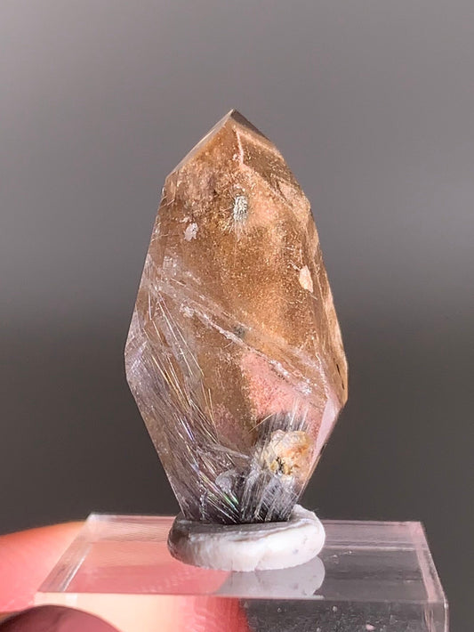 Rare Dark Silver Brookite Rutile in Brown Garden Quartz Crystal from Brazil