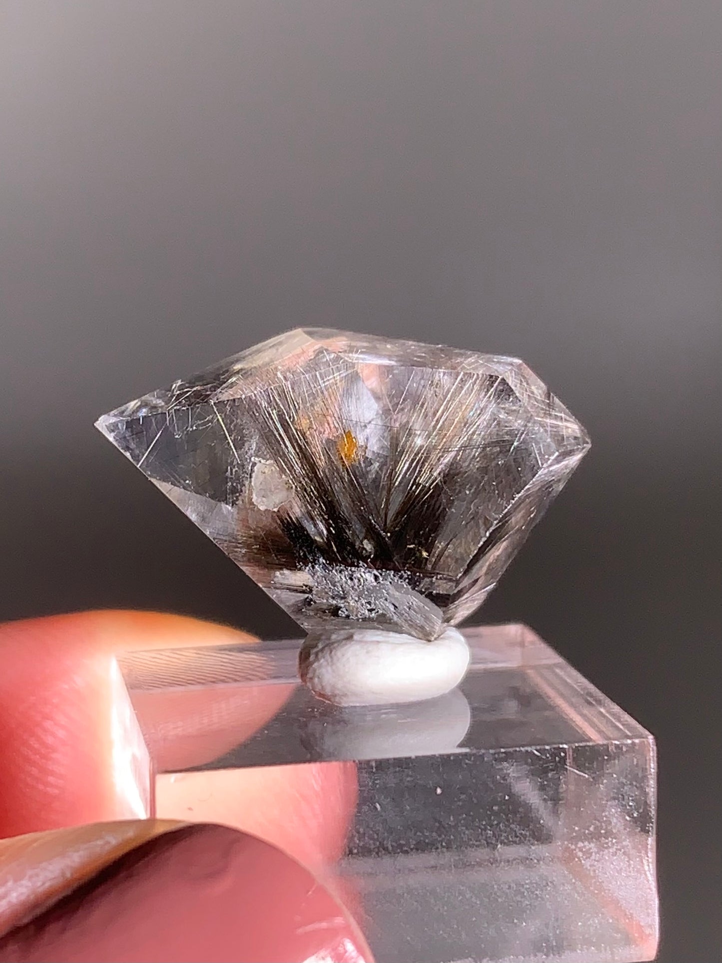 Rare Dark Silver Brookite Rutile in Brown Garden Quartz Crystal from Brazil