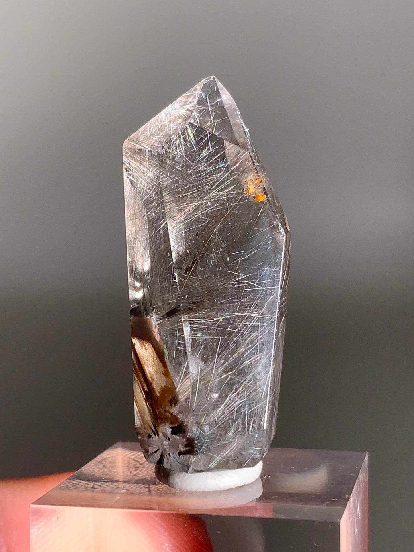 Rare Dark Silver Brookite Rutile in Brown Garden Quartz Crystal from Brazil