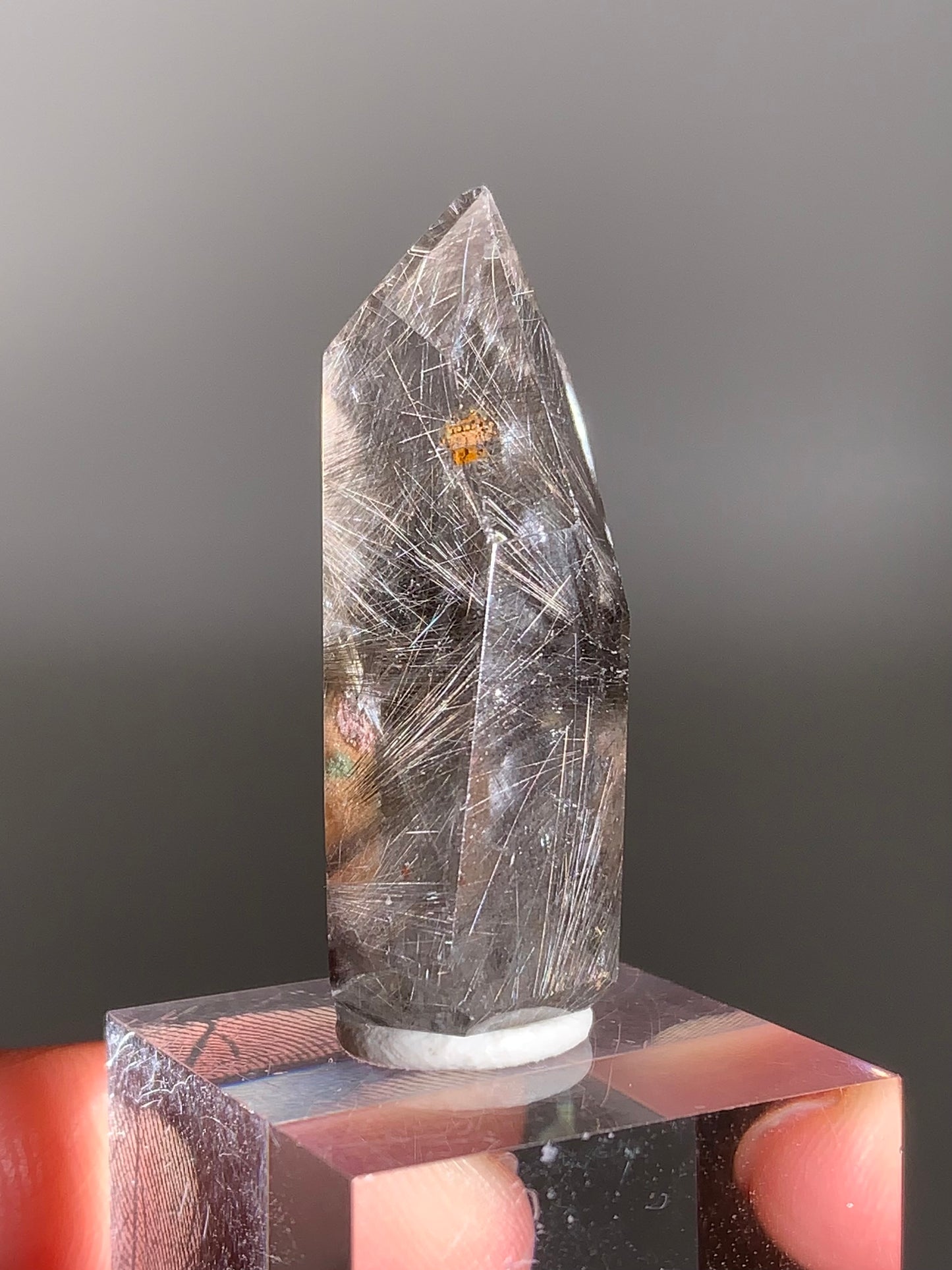 Rare Dark Silver Brookite Rutile in Brown Garden Quartz Crystal from Brazil