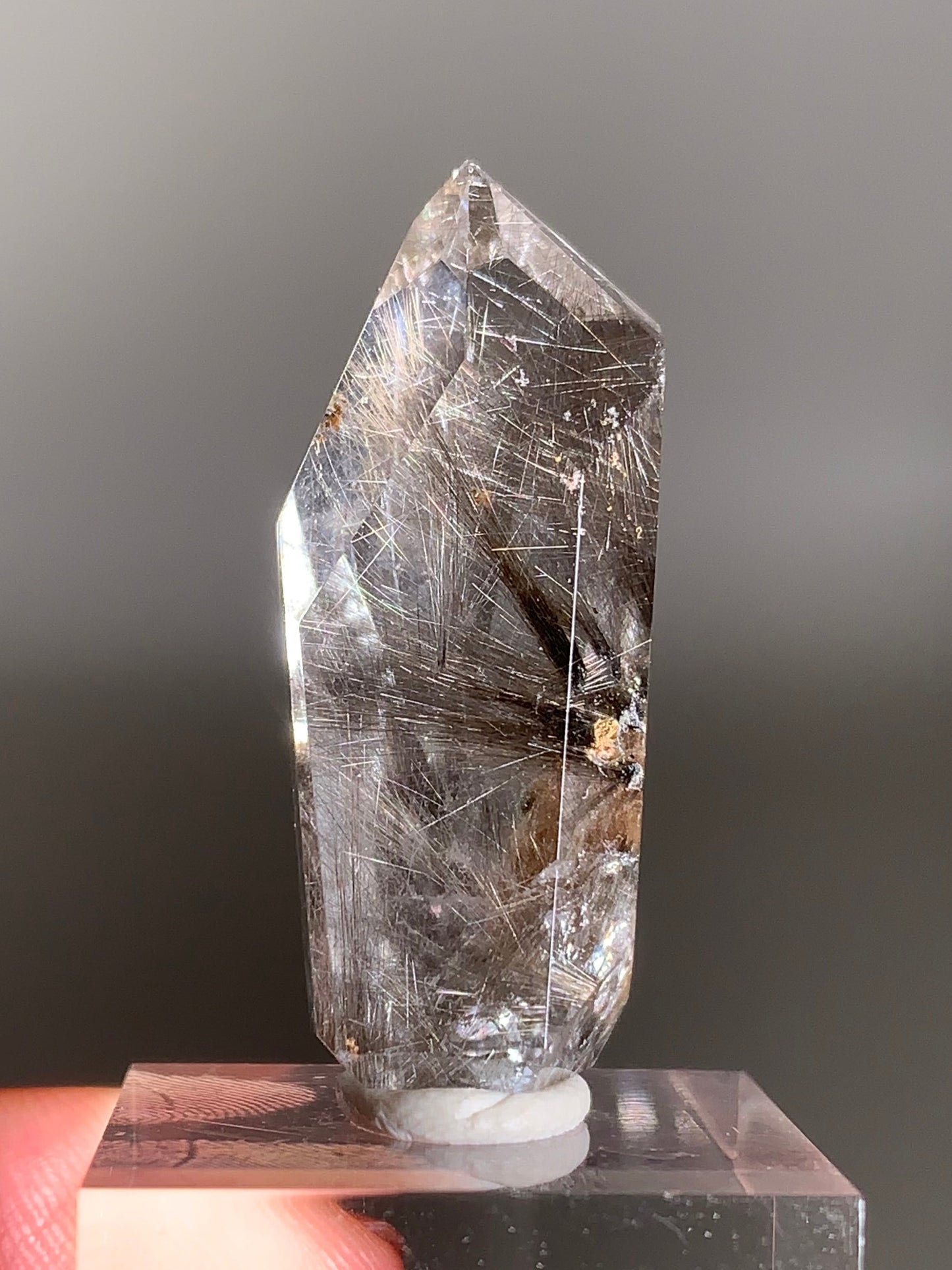 Rare Dark Silver Brookite Rutile in Brown Garden Quartz Crystal from Brazil