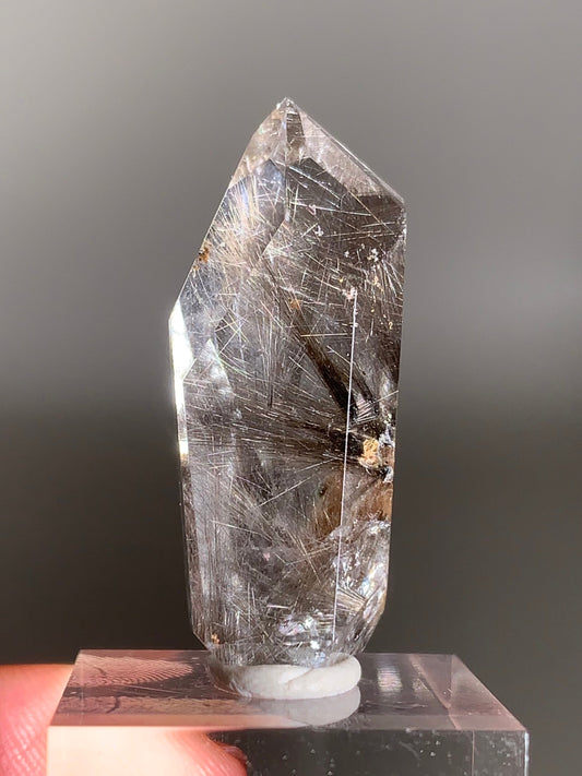 Rare Dark Silver Brookite Rutile in Brown Garden Quartz Crystal from Brazil
