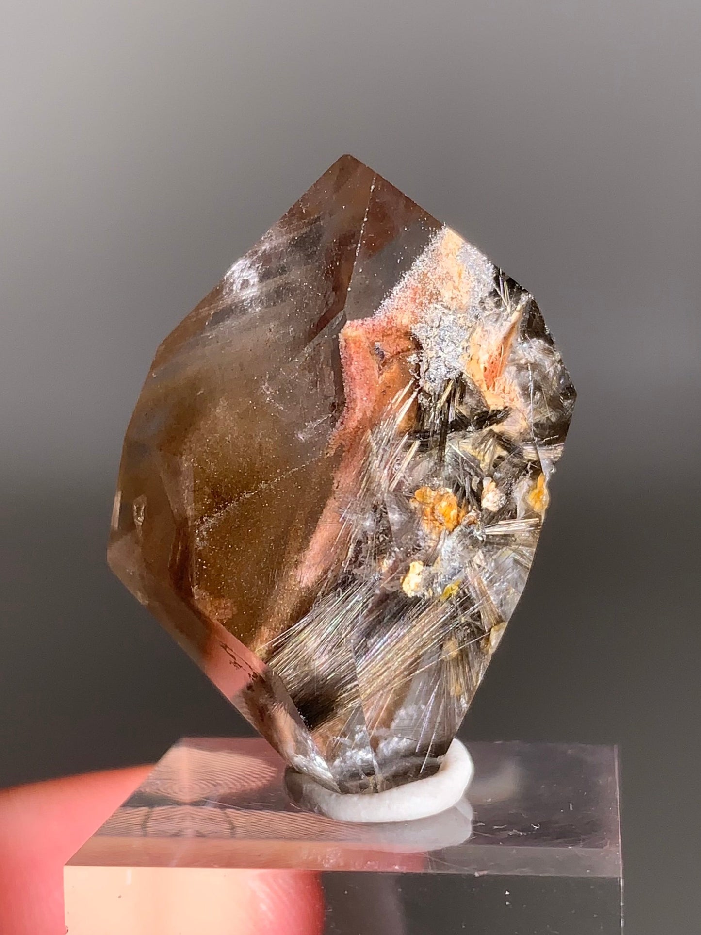 Rare Dark Silver Brookite Rutile in Brown Garden Quartz Crystal from Brazil