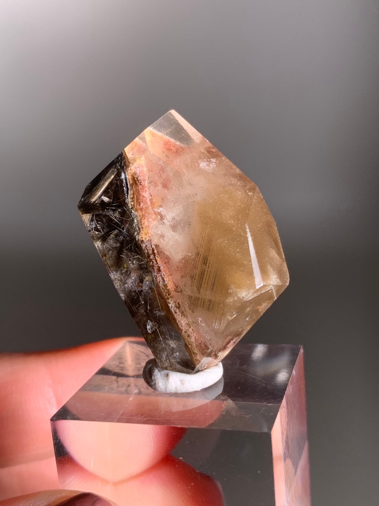 Rare Dark Silver Brookite Rutile in Brown Garden Quartz Crystal from Brazil