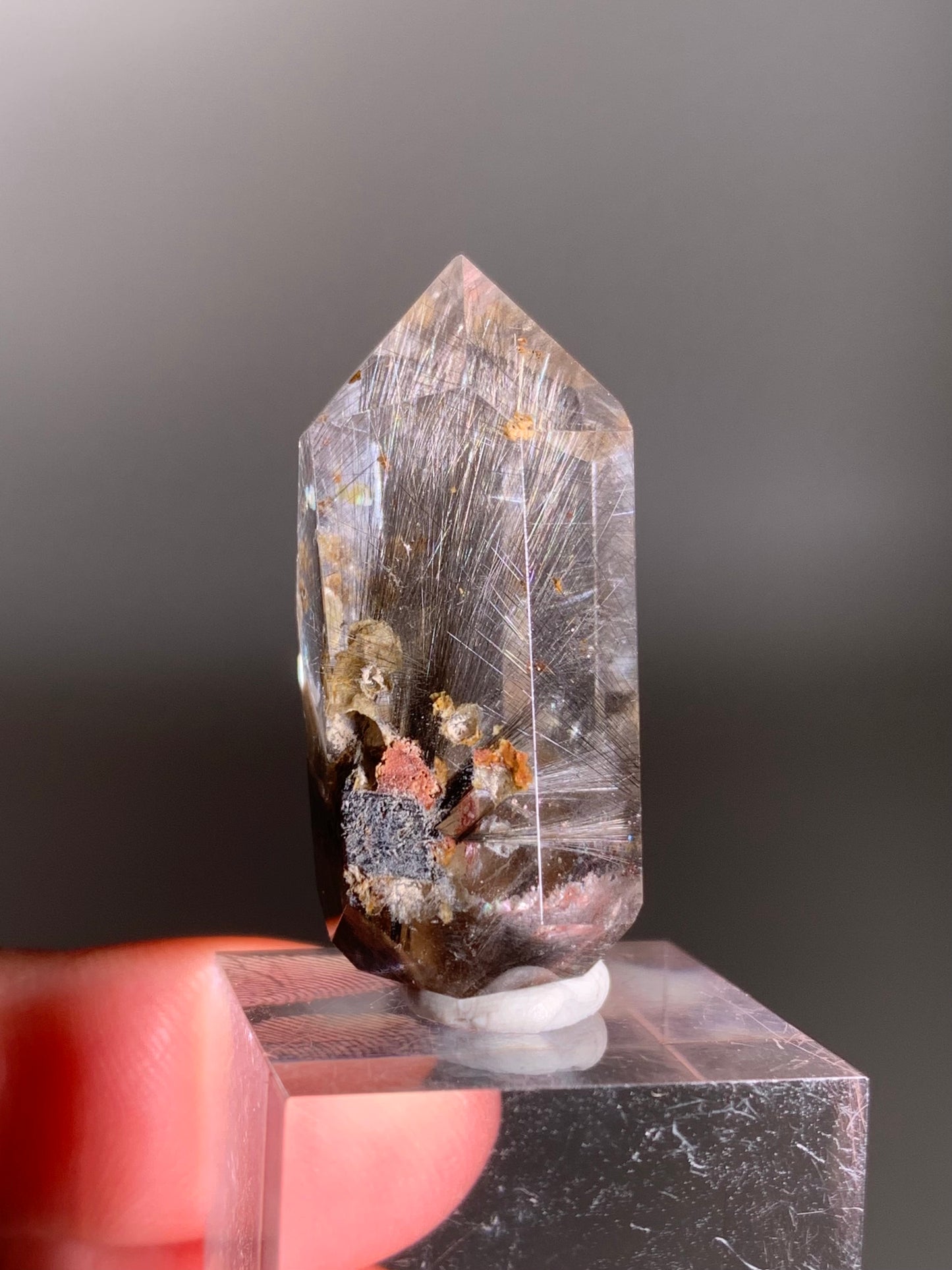 Rare Dark Silver Brookite Rutile in Brown Garden Quartz Crystal from Brazil