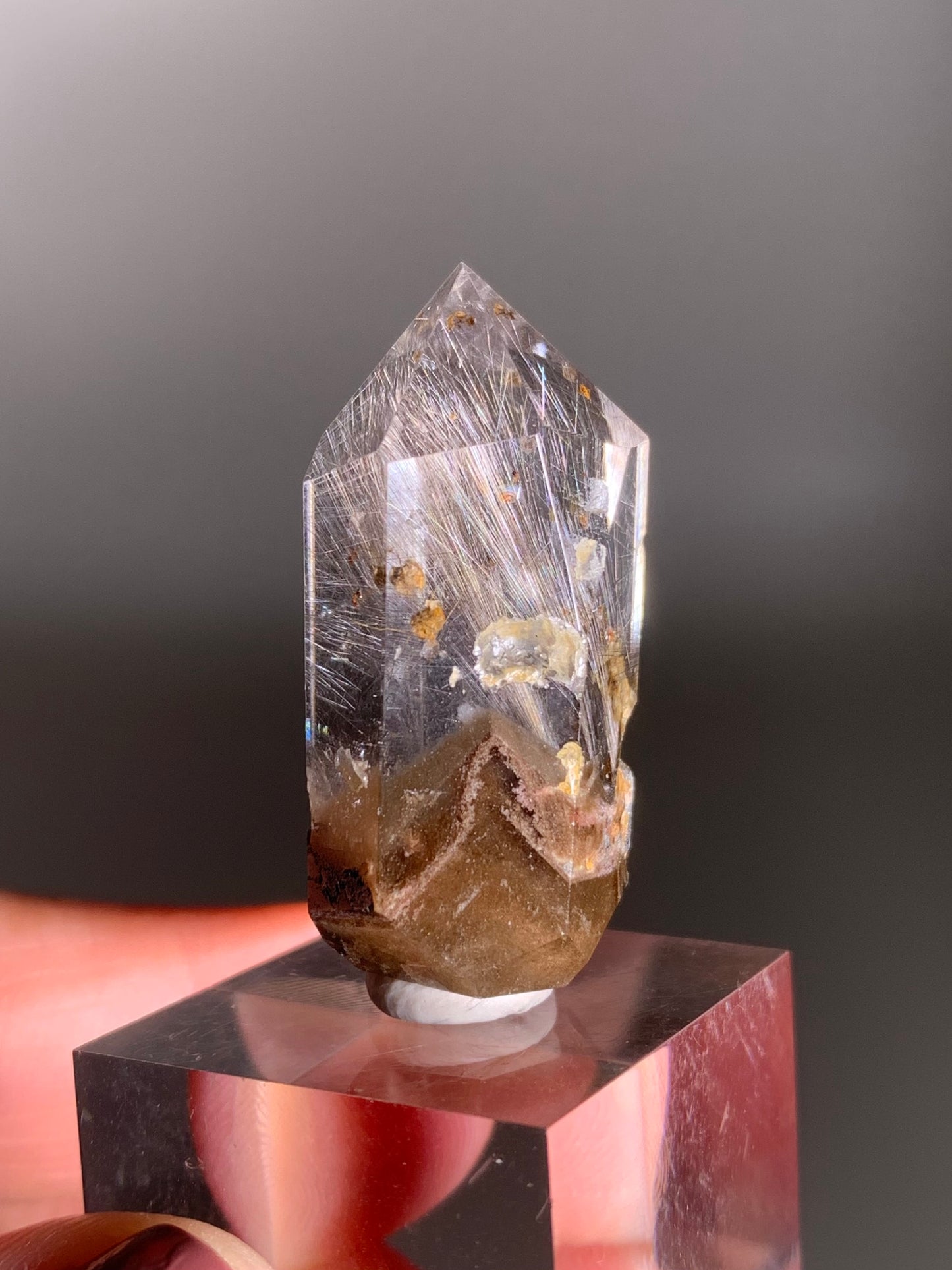 Rare Dark Silver Brookite Rutile in Brown Garden Quartz Crystal from Brazil