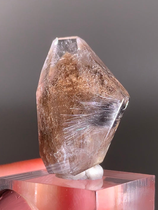 Rare Dark Silver Brookite Rutile in Brown Garden Quartz Crystal from Brazil