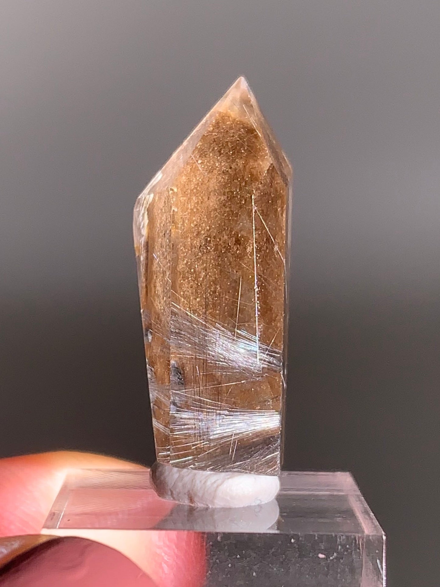 Rare Dark Silver Brookite Rutile in Brown Garden Quartz Crystal from Brazil