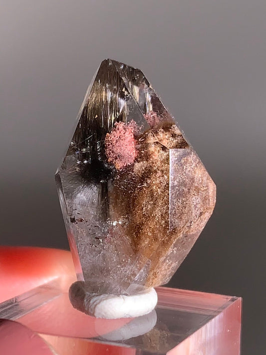 Rare Dark Silver Brookite Rutile in Brown Garden Quartz Crystal from Brazil