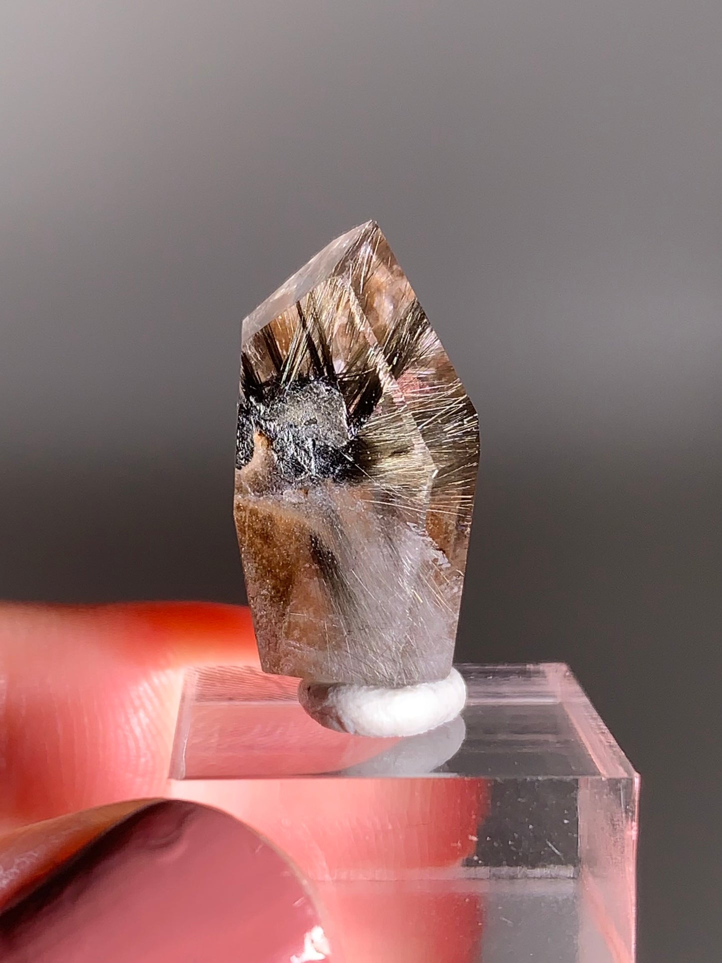 Rare Dark Silver Brookite Rutile in Brown Garden Quartz Crystal from Brazil
