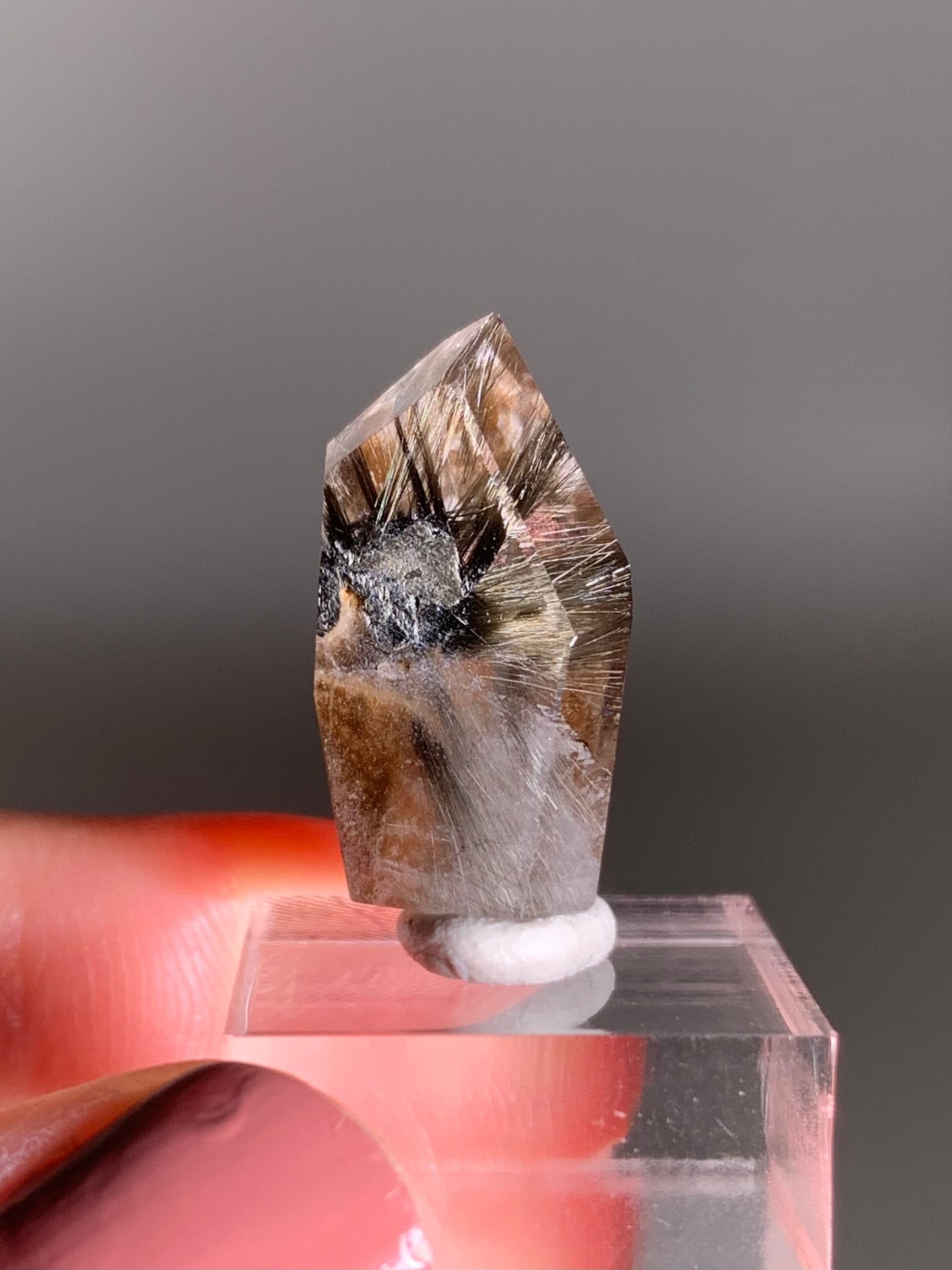 Rare Dark Silver Brookite Rutile in Brown Garden Quartz Crystal from Brazil