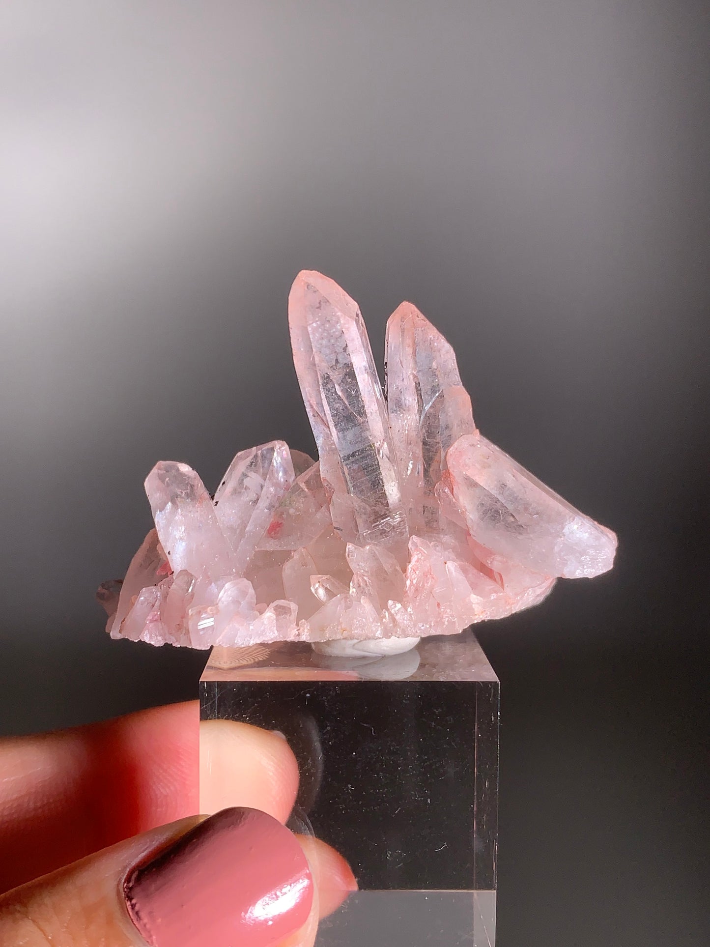 Pink Himalayan Samadhi Quartz with Green Phantom Inclusions
