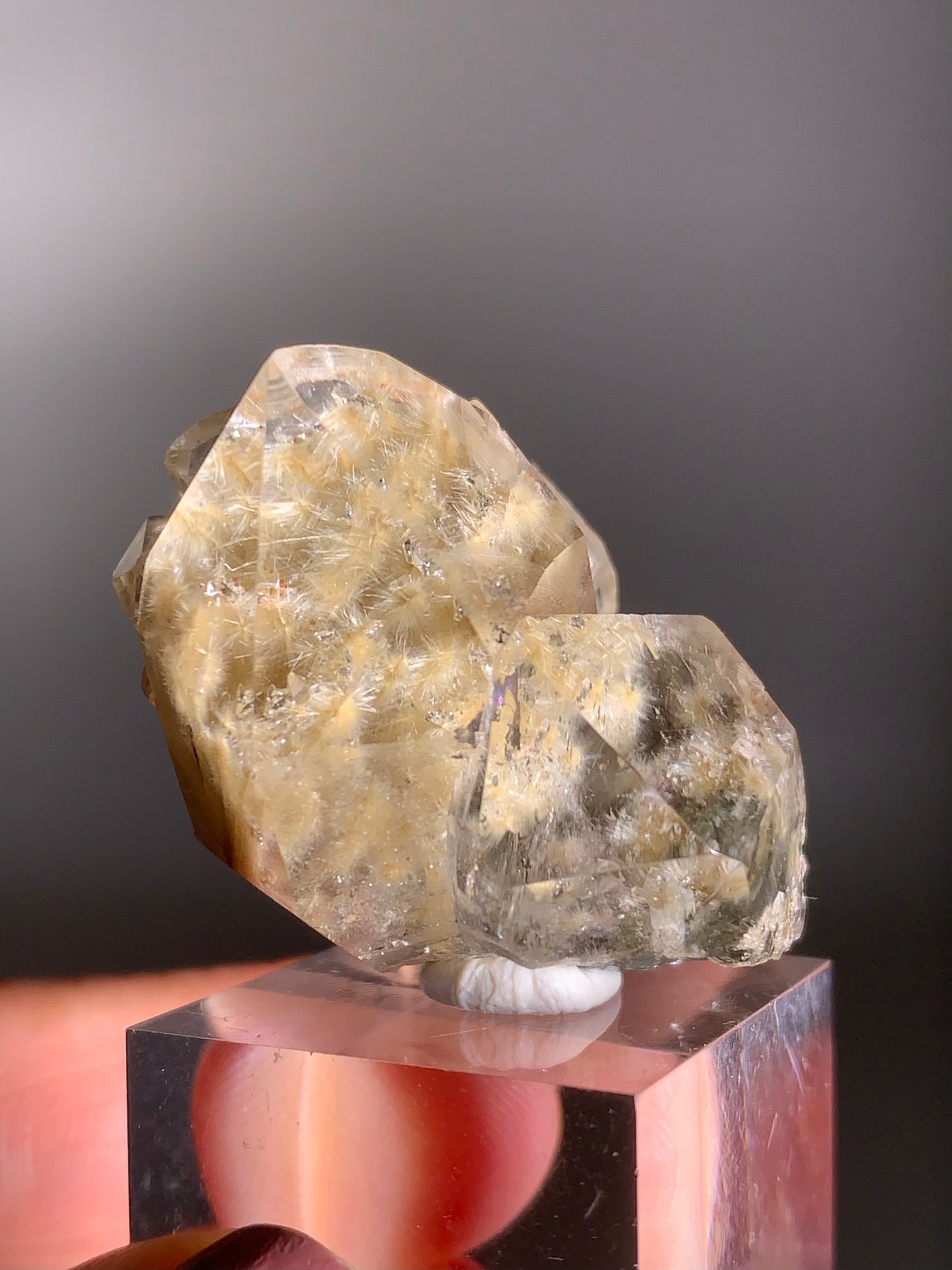 Collector’s Grade Gold Tree Rutile Semi-polished Cluster with Flower Formations and Multiple Tiny Manifestations – Brazil