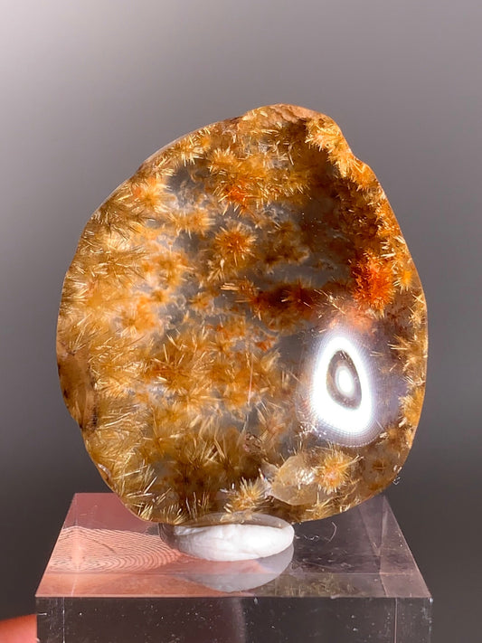 Rare Top-Quality Gold Rutile Flower Polished Quartz Kaleidoscope