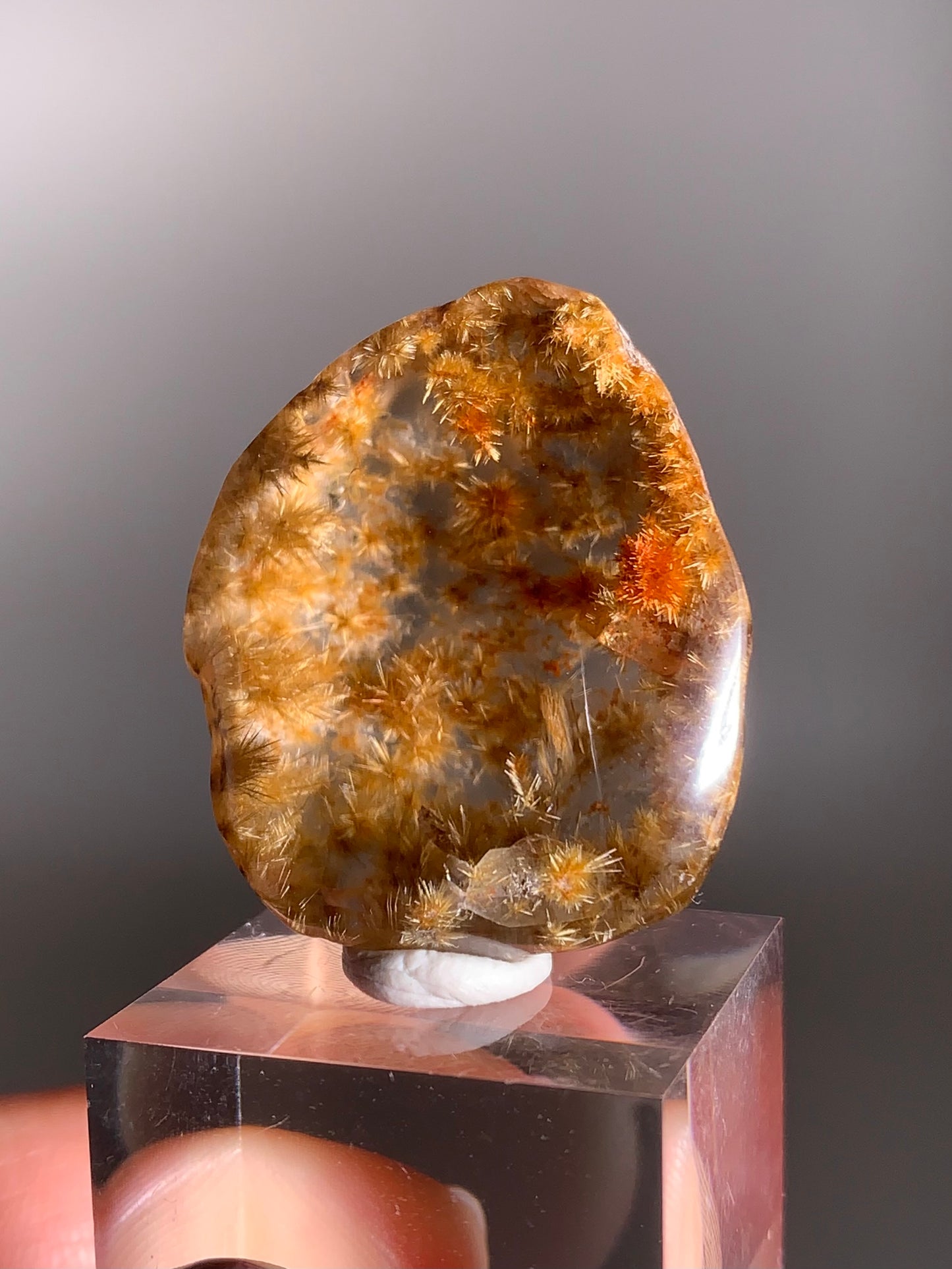 Rare Top-Quality Gold Rutile Flower Polished Quartz Kaleidoscope