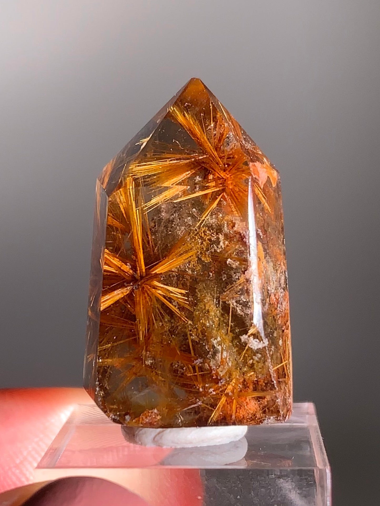 Rare Star Copper Rutile Garden Smoky Quartz Tower | Collector’s Grade Crystal from Brazil