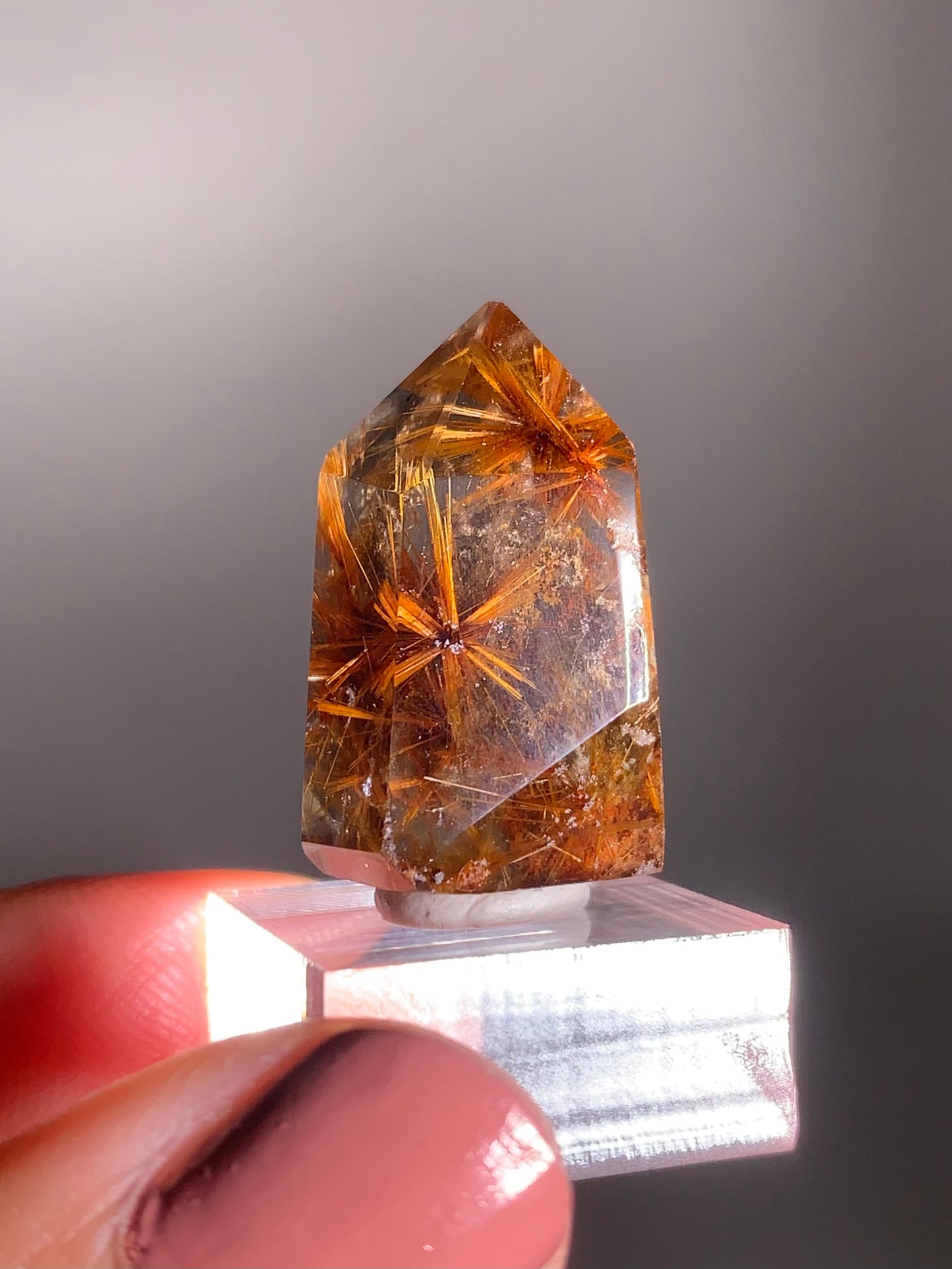Rare Star Copper Rutile Garden Smoky Quartz Tower | Collector’s Grade Crystal from Brazil