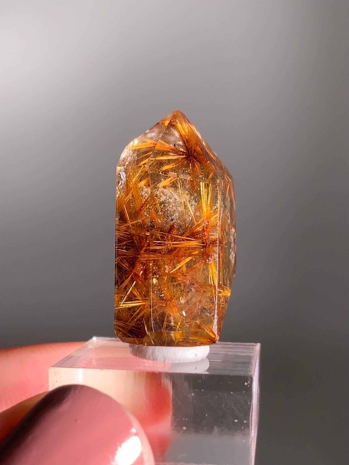 Rare Star Copper Rutile Garden Smoky Quartz Tower | Collector’s Grade Crystal from Brazil