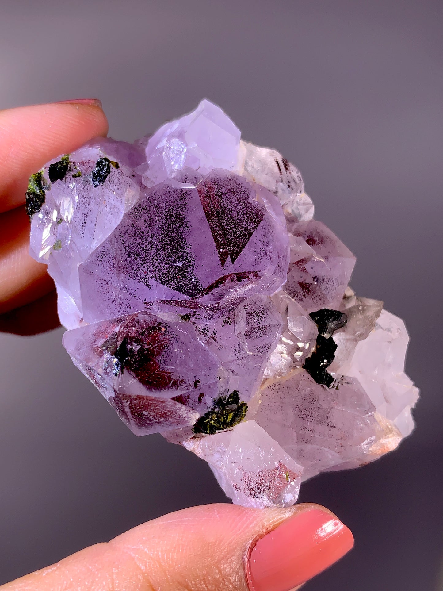 High-Grade Red Sichuan Garden Quartz with Hematite Inclusion on Amethyst & Epidote | Rare Collector Mineral Specimen