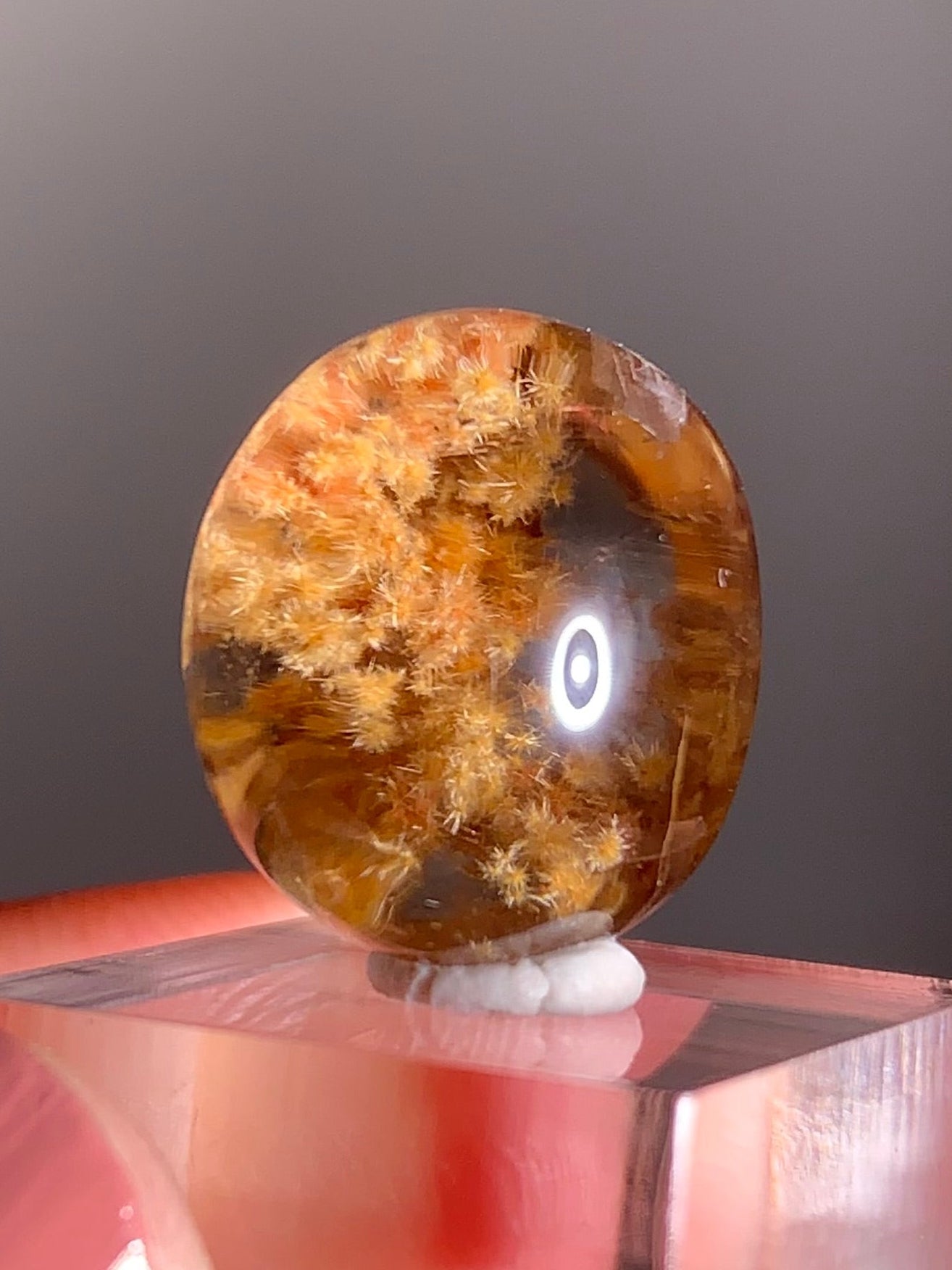 Rare Gold Starburst Rutile Quartz Polished Cabochon from Brazil